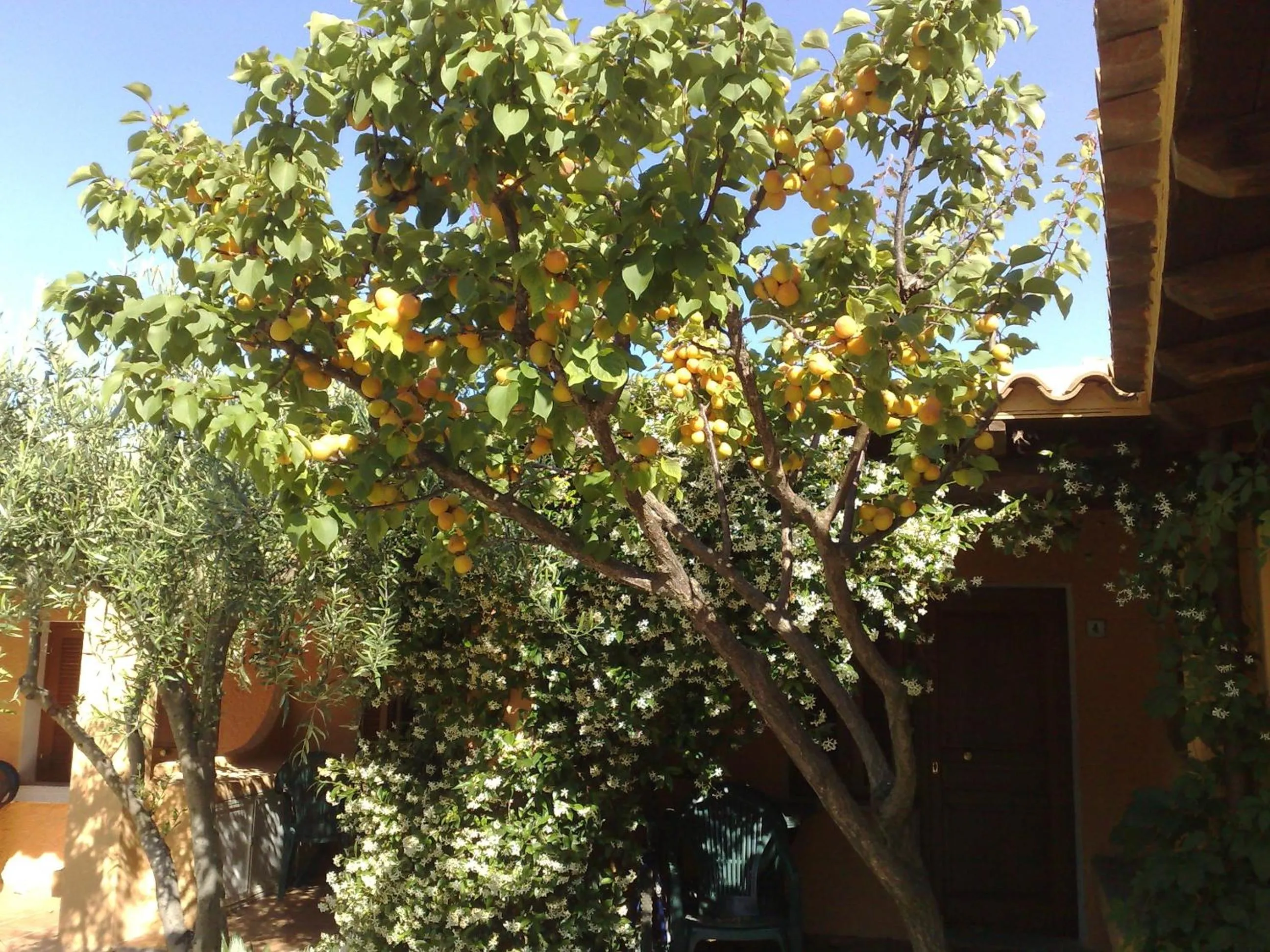 Other in Residence La Pineta