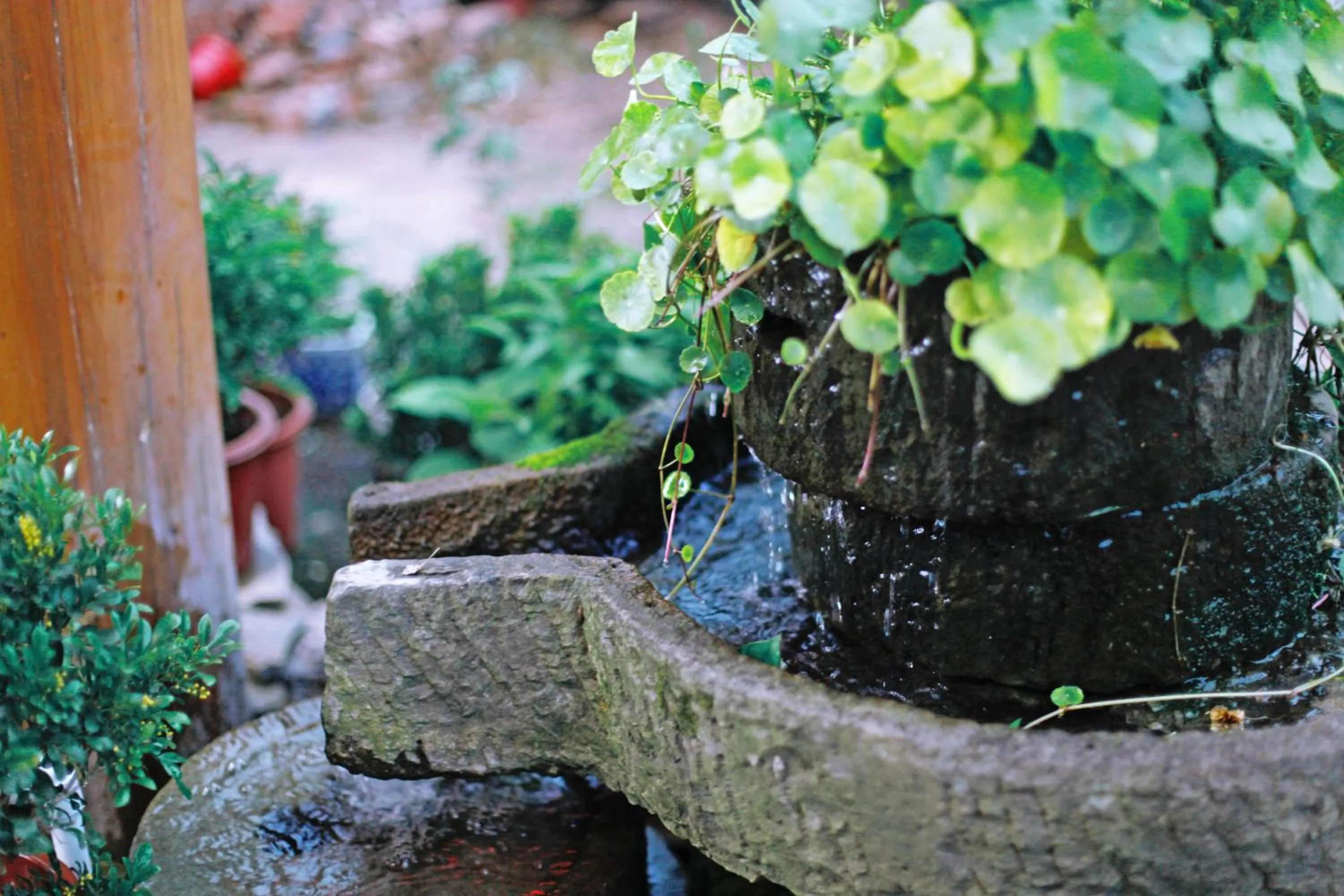 Property building in Guihua Road 106th Hostel