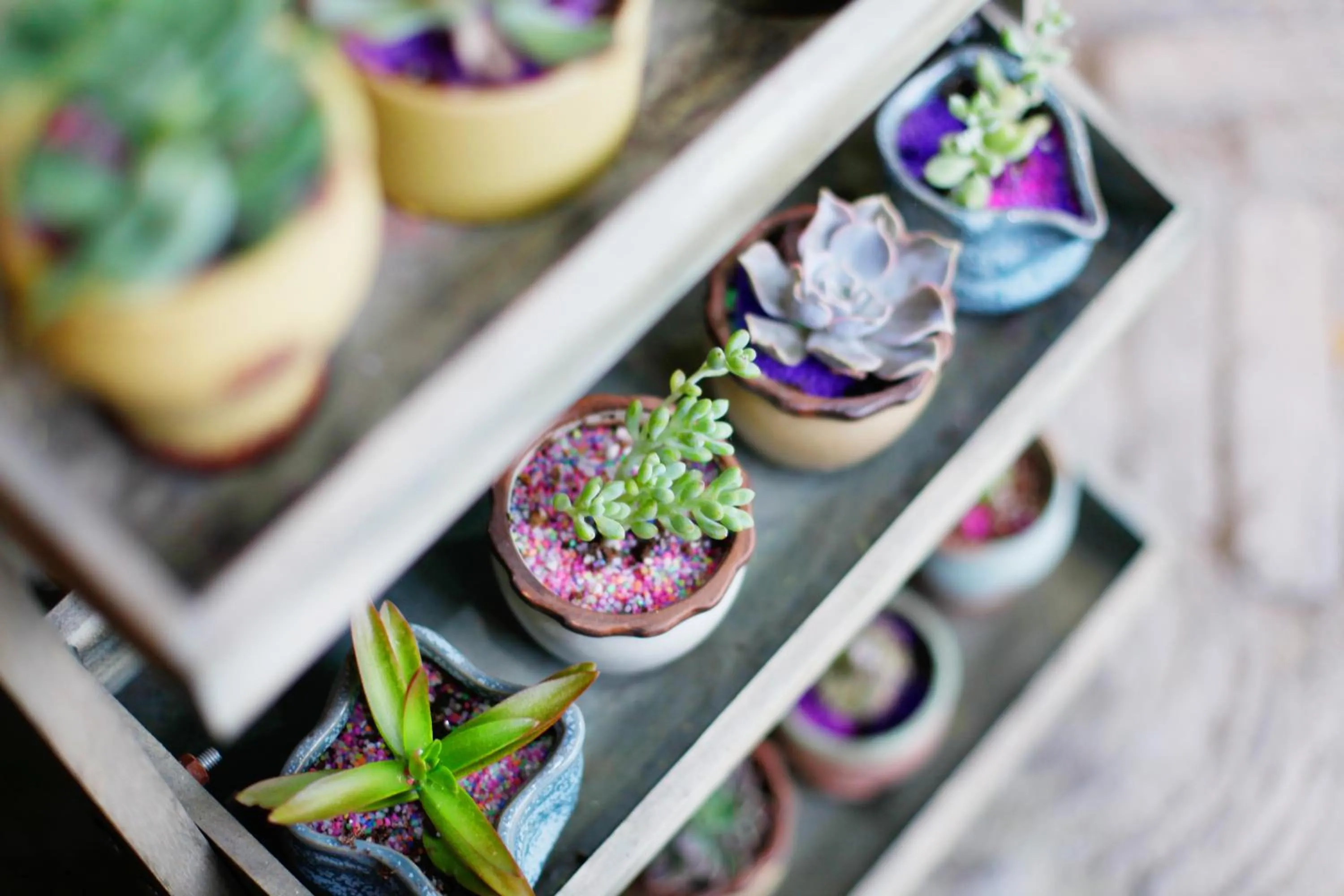 View (from property/room) in Guihua Road 106th Hostel