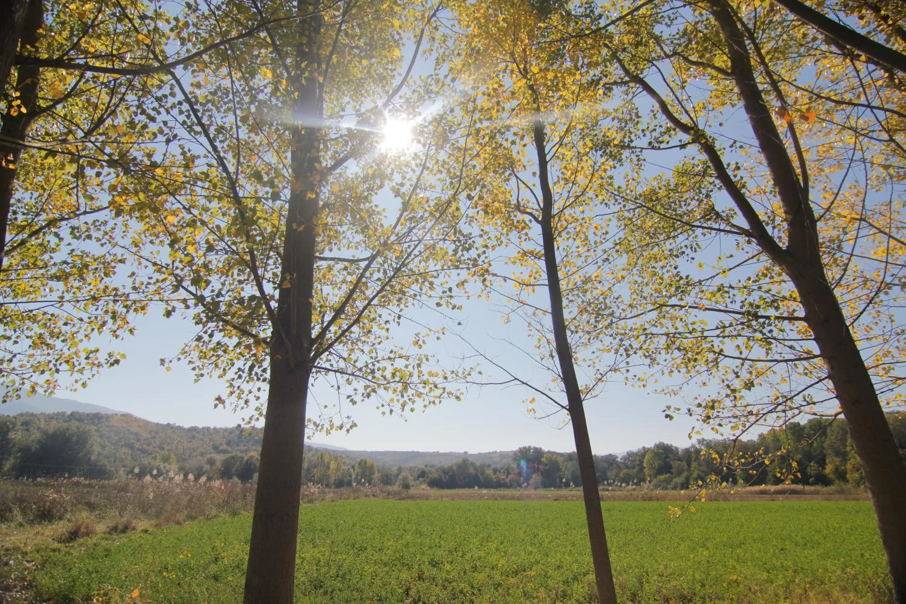 Area and facilities in Chateaux Constantin Agistro