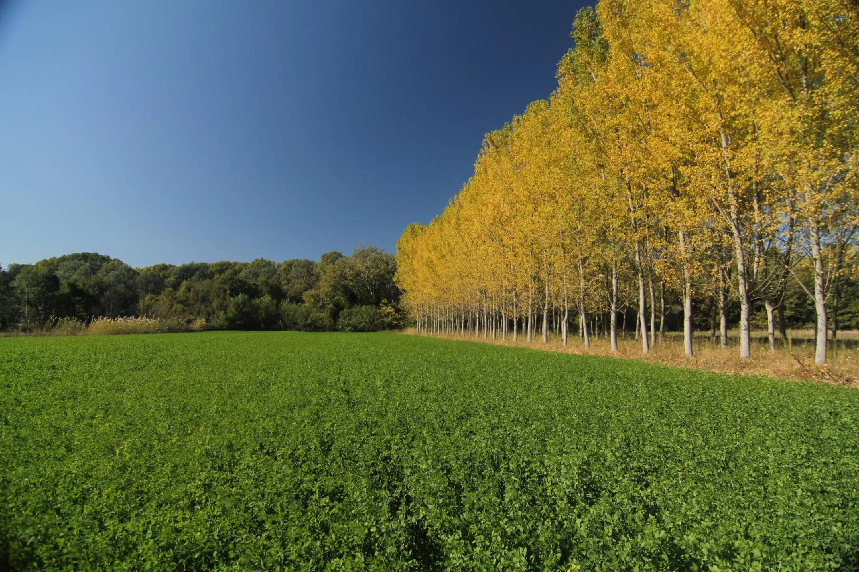 Area and facilities in Chateaux Constantin Agistro
