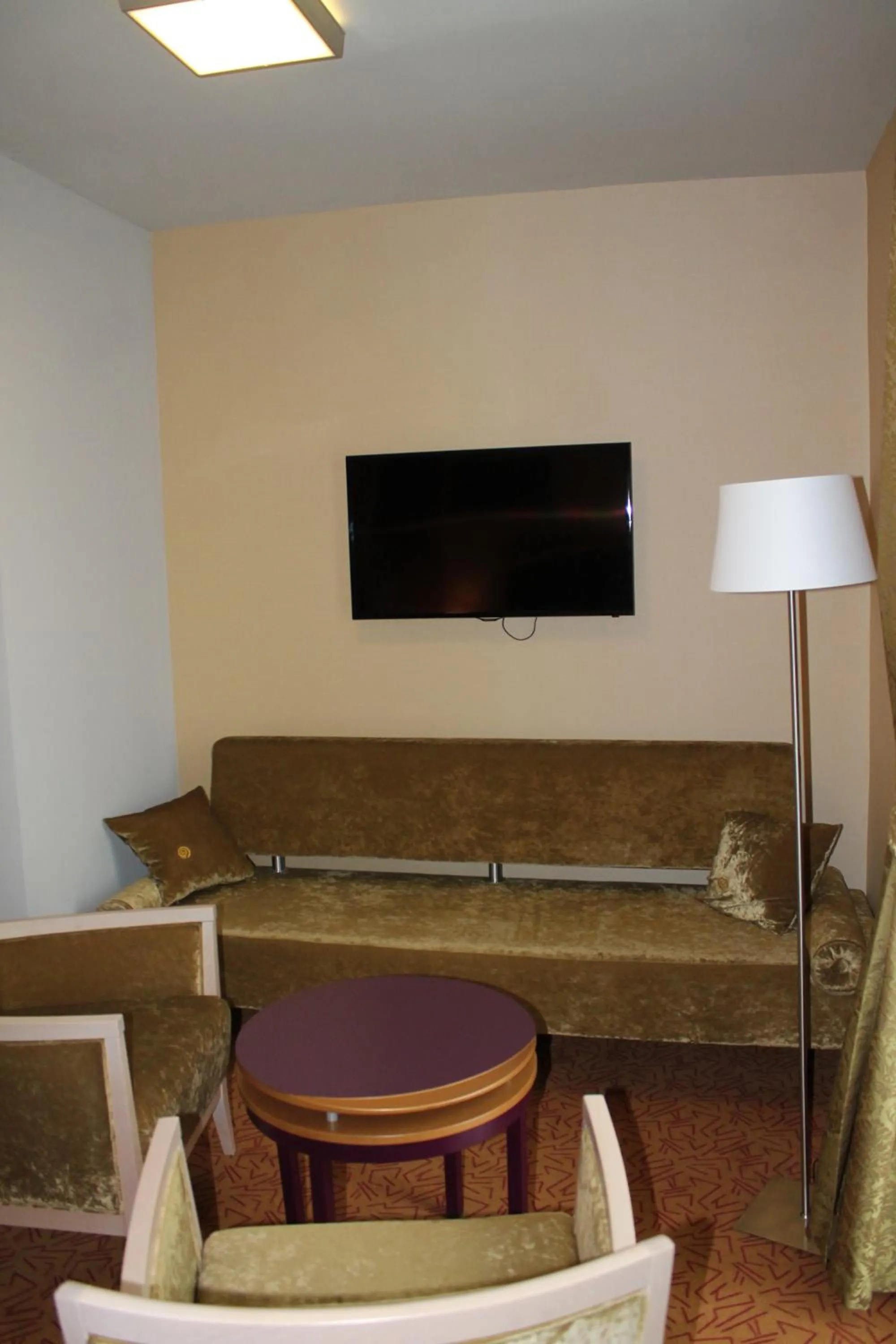 TV and multimedia in Szent Gellért Hotel