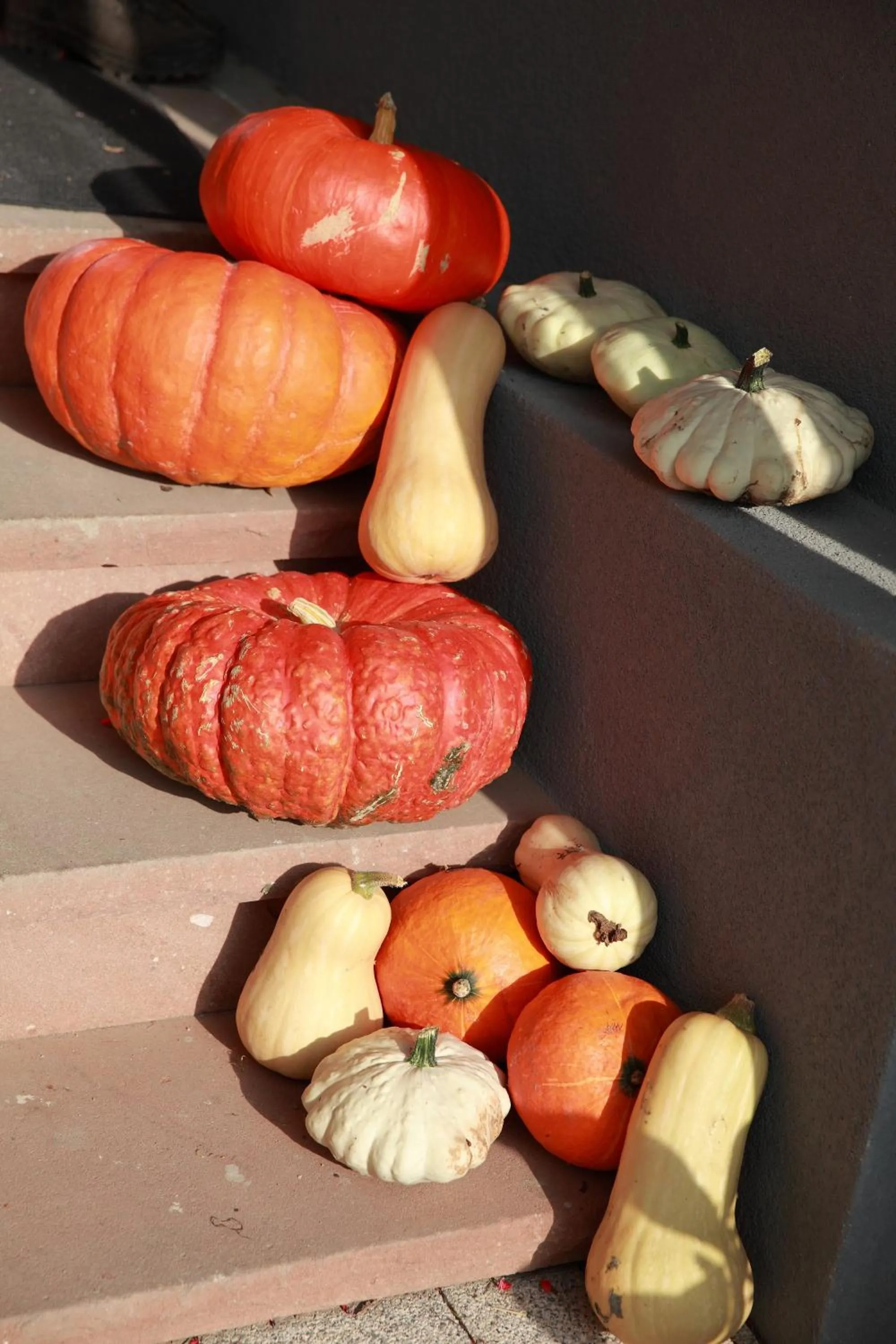 Other in Les Portes de la Vallee