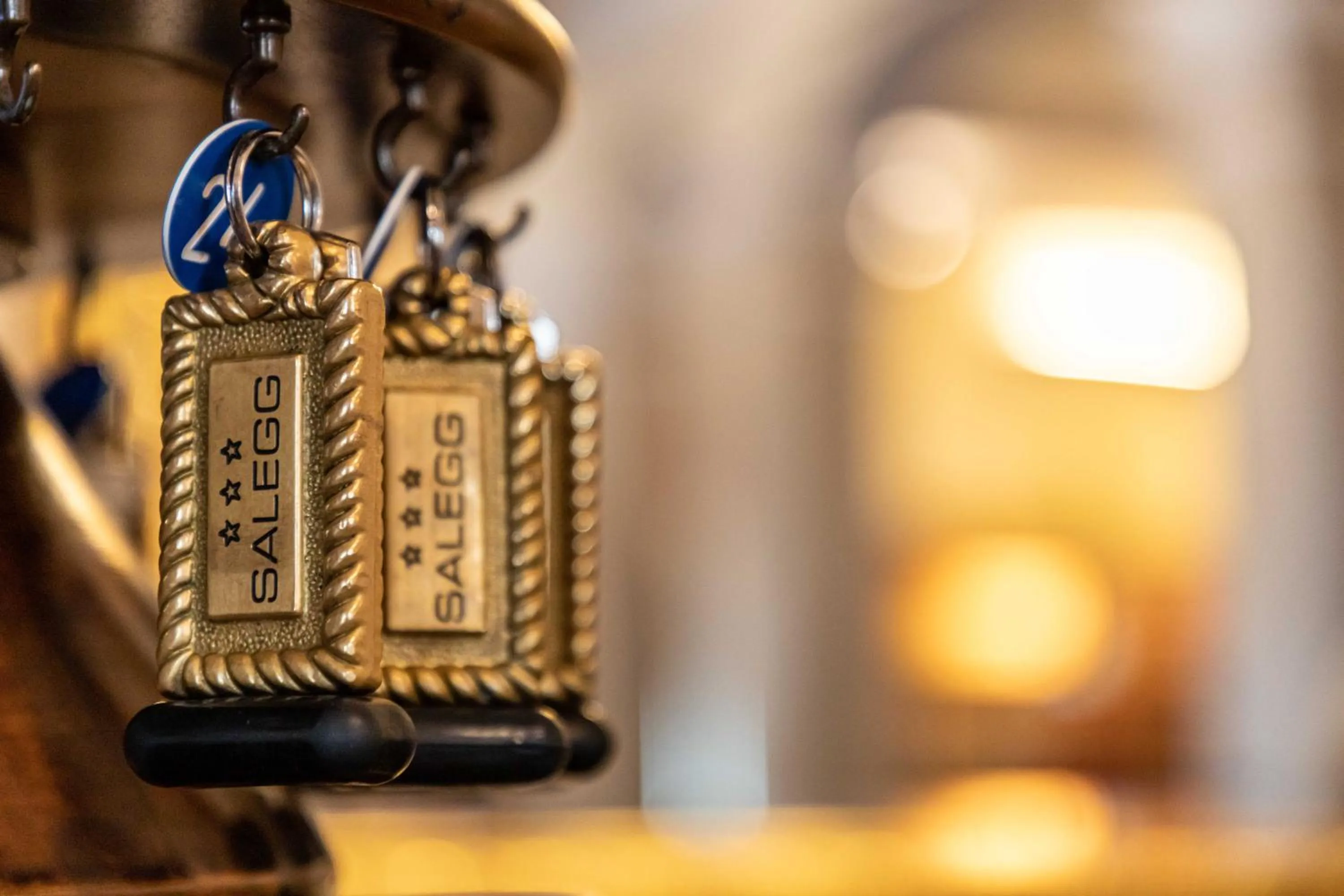 Property logo or sign in Hotel Salegg