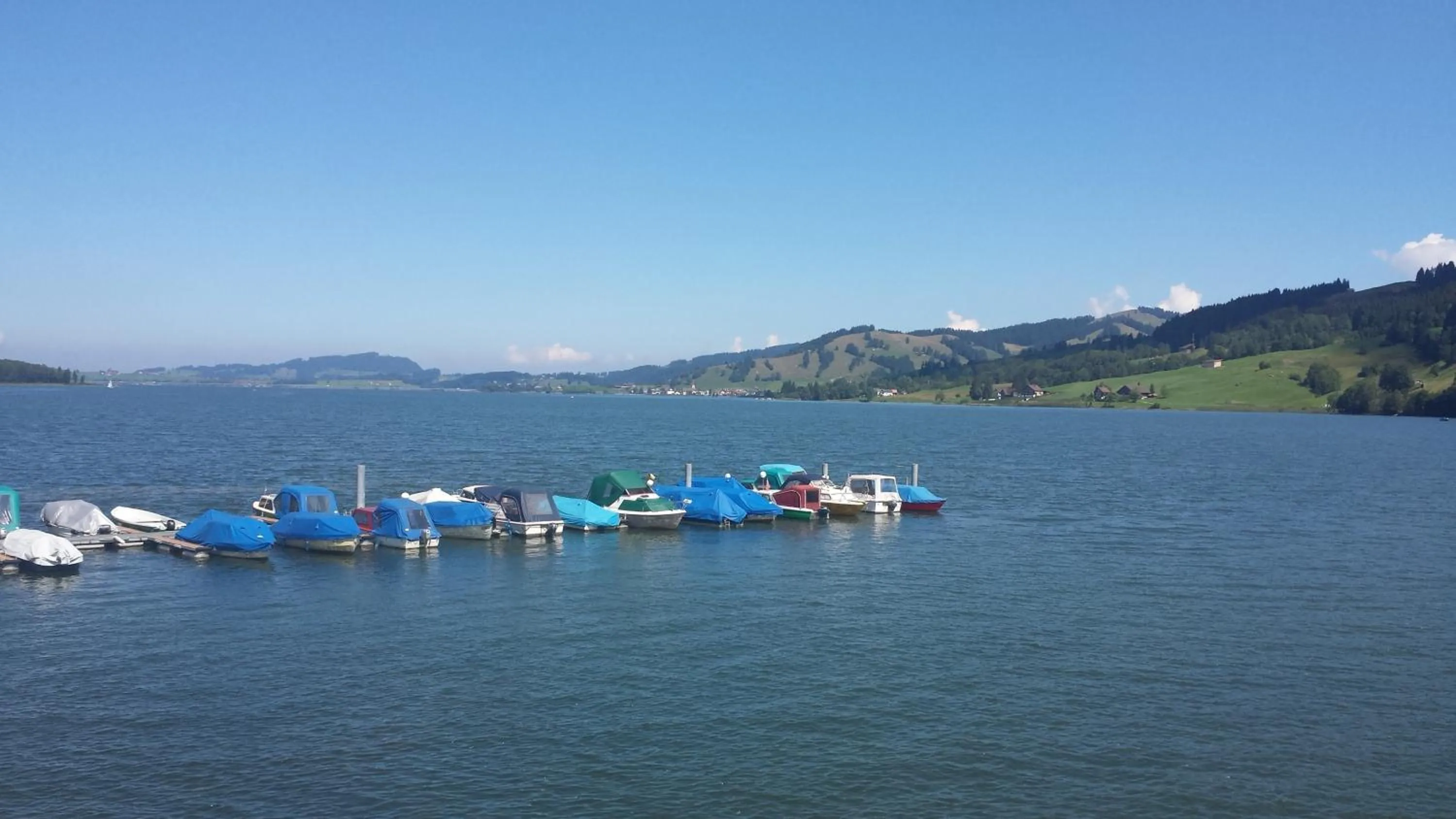 Natural landscape in Minster Hotel