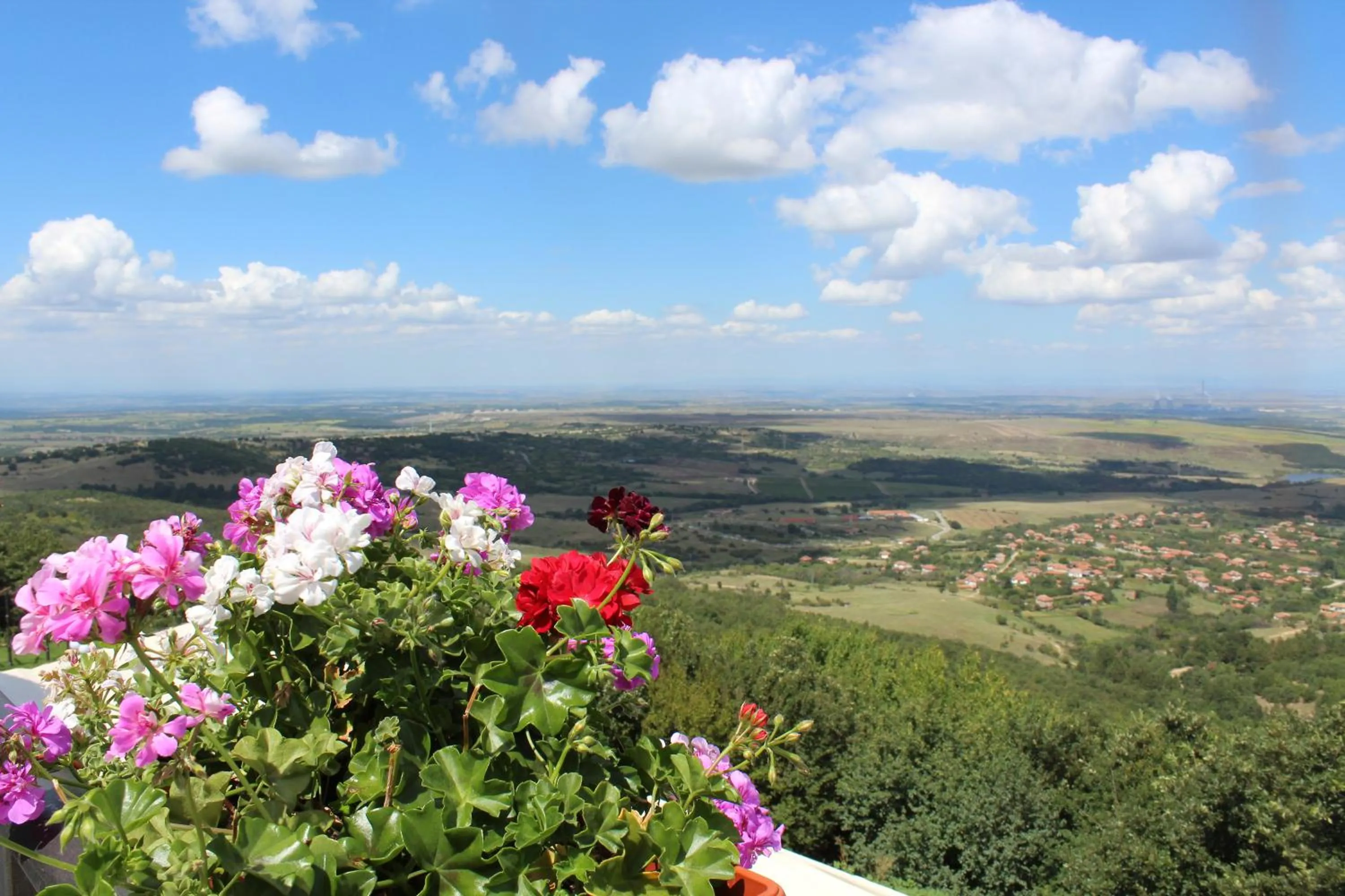 Property building in Zaara Estate