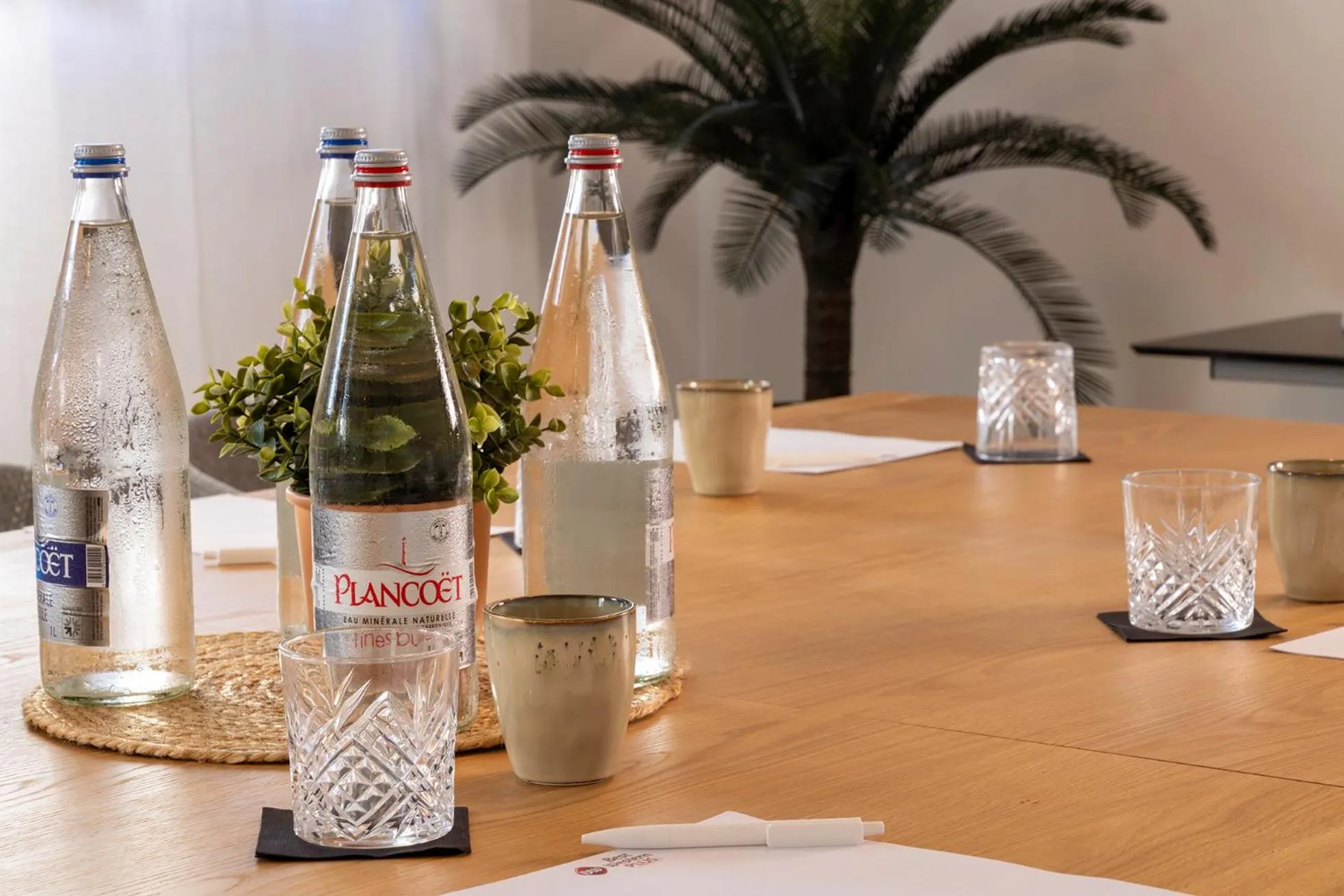 Drinks in Best Western Plus Hotel les Rives du Ter