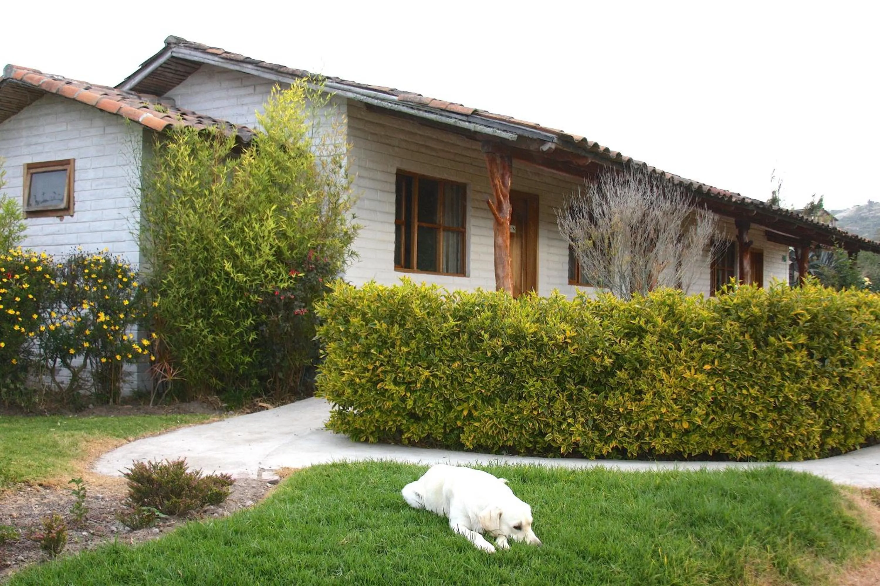 Property building in Hosteria Cananvalle