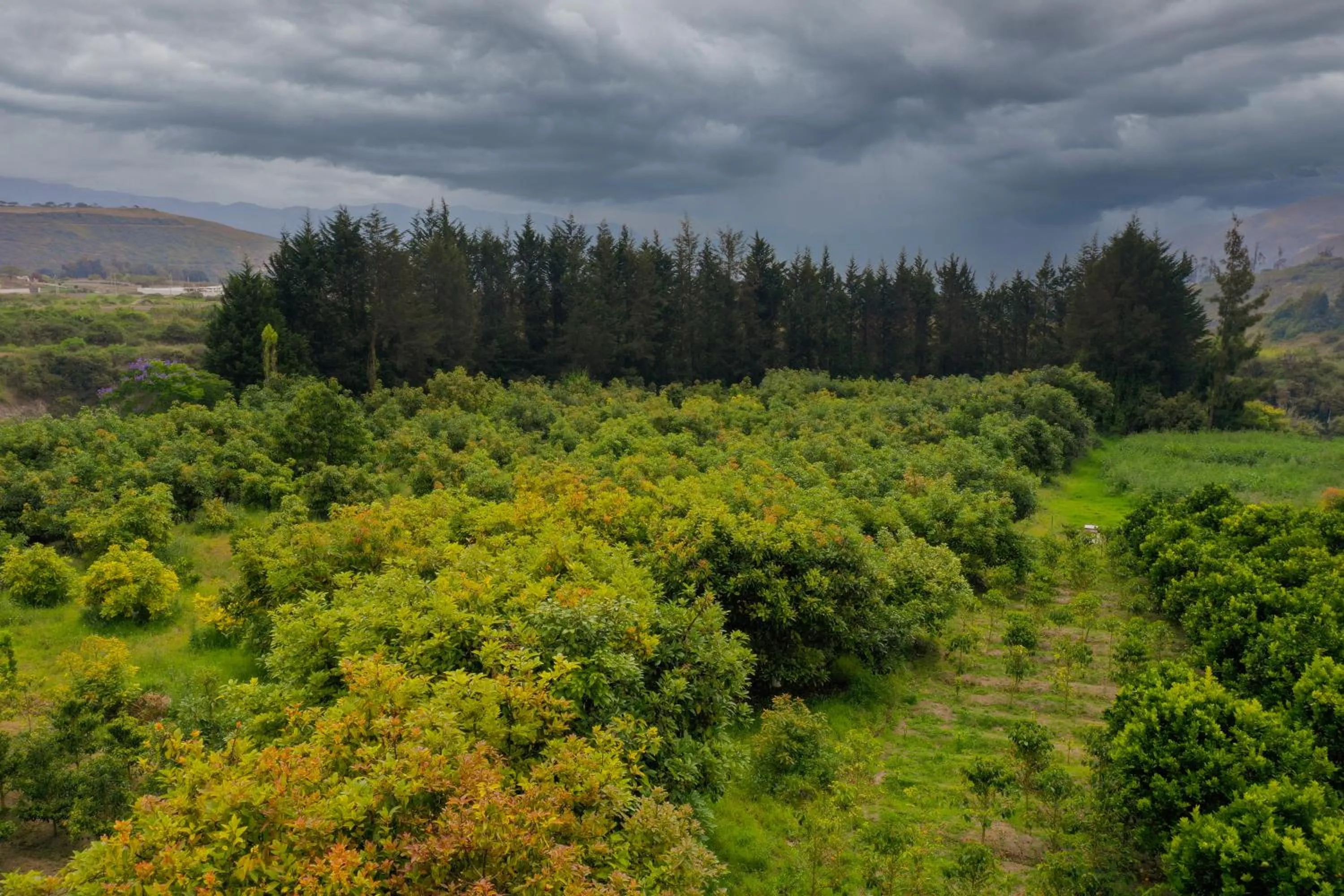 Natural landscape in Hosteria Cananvalle