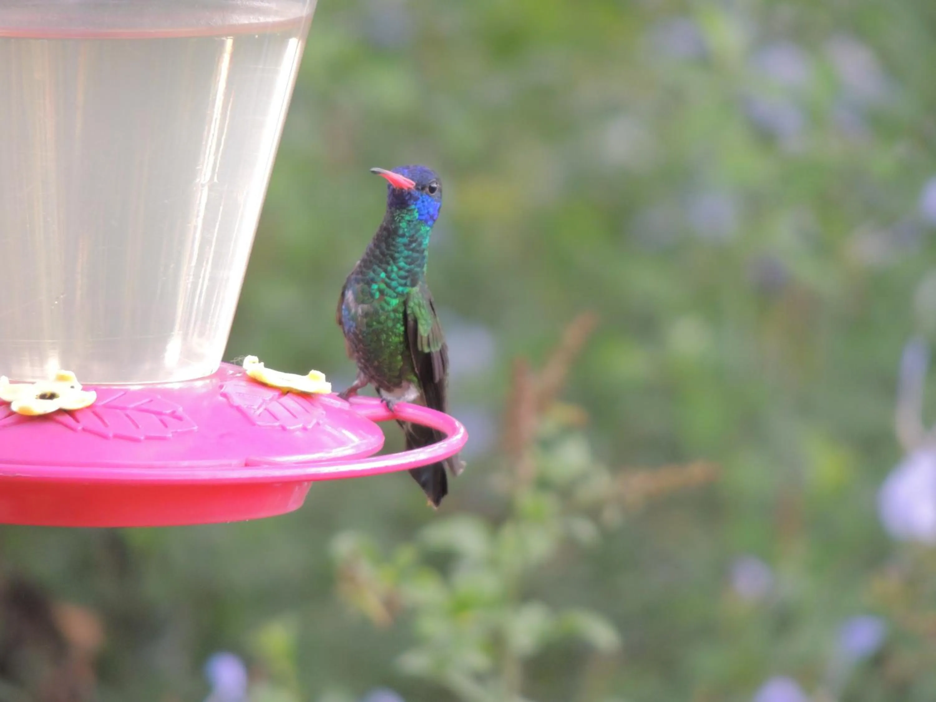 Day in Hosteria Cananvalle