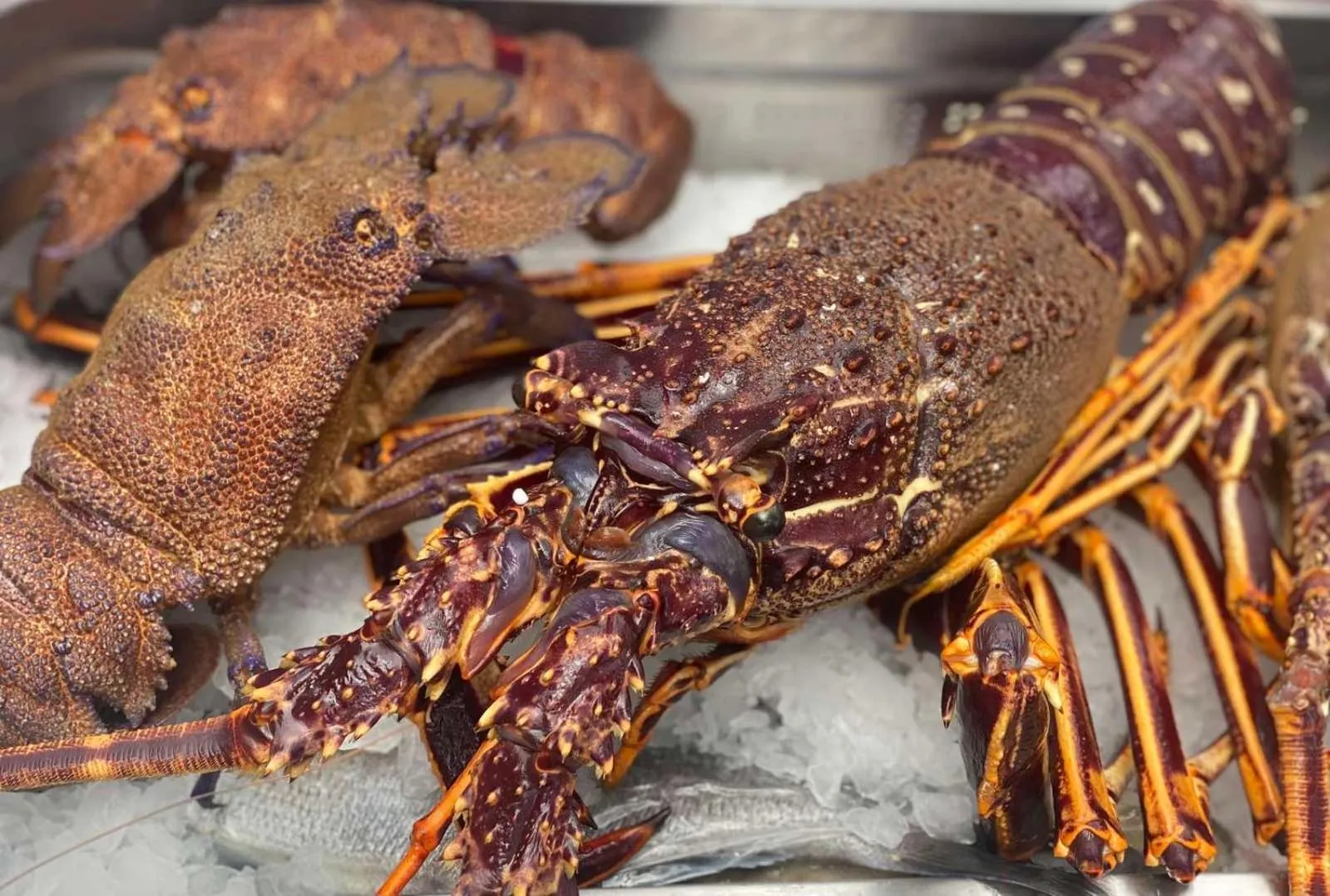 Peroulia Beach Houses