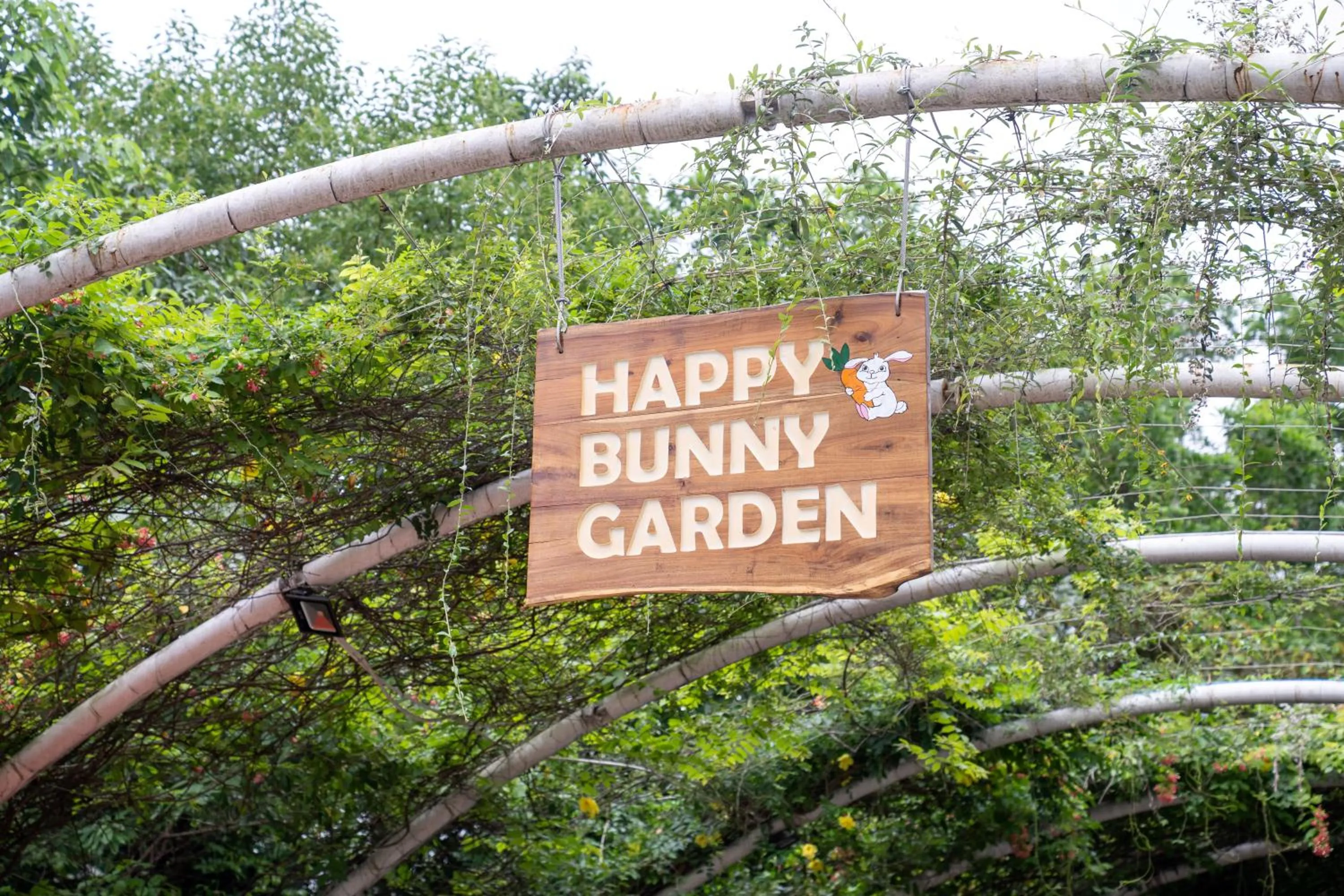 Garden in Flamingo Resort Dai Lai