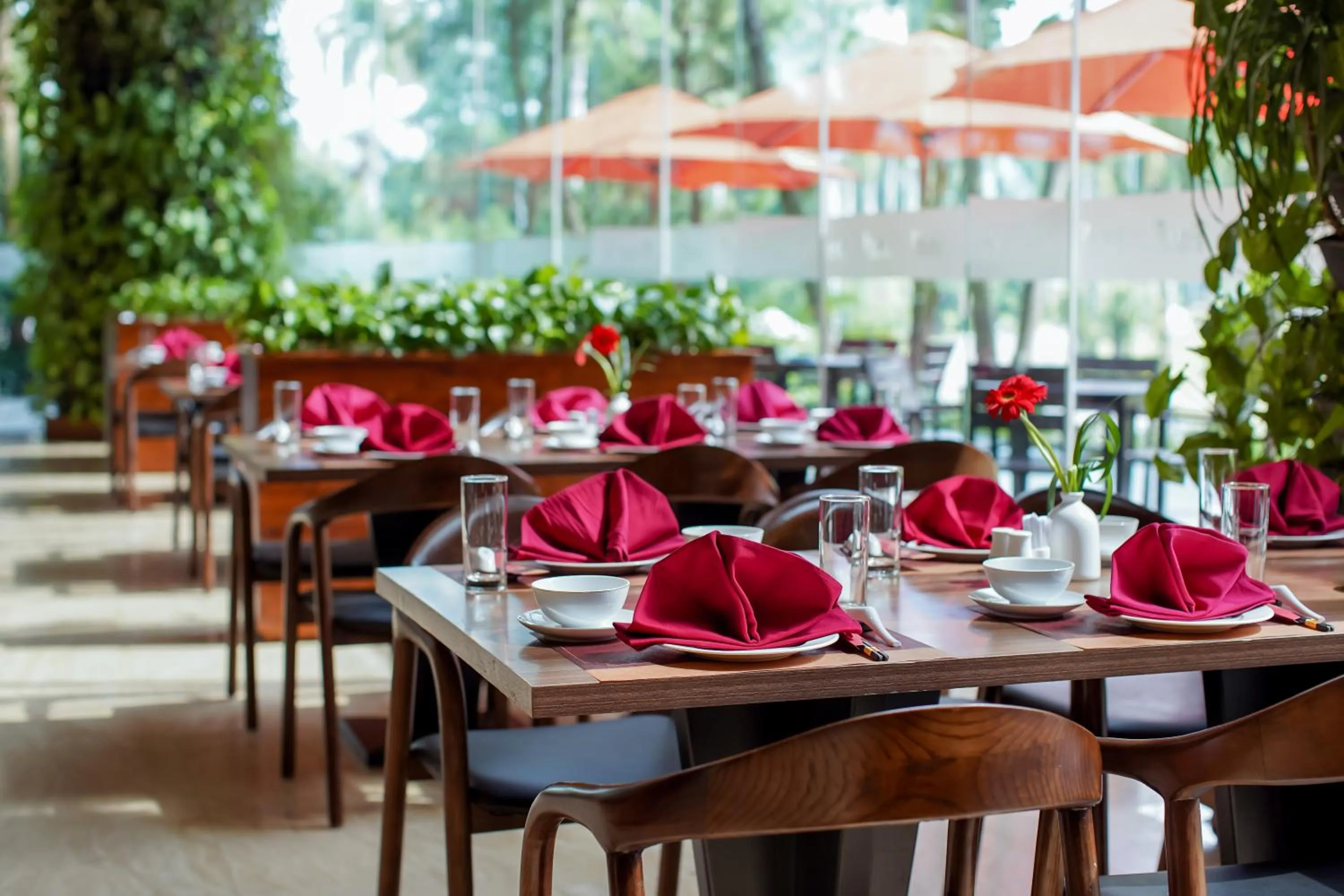 Food and drinks in Flamingo Resort Dai Lai