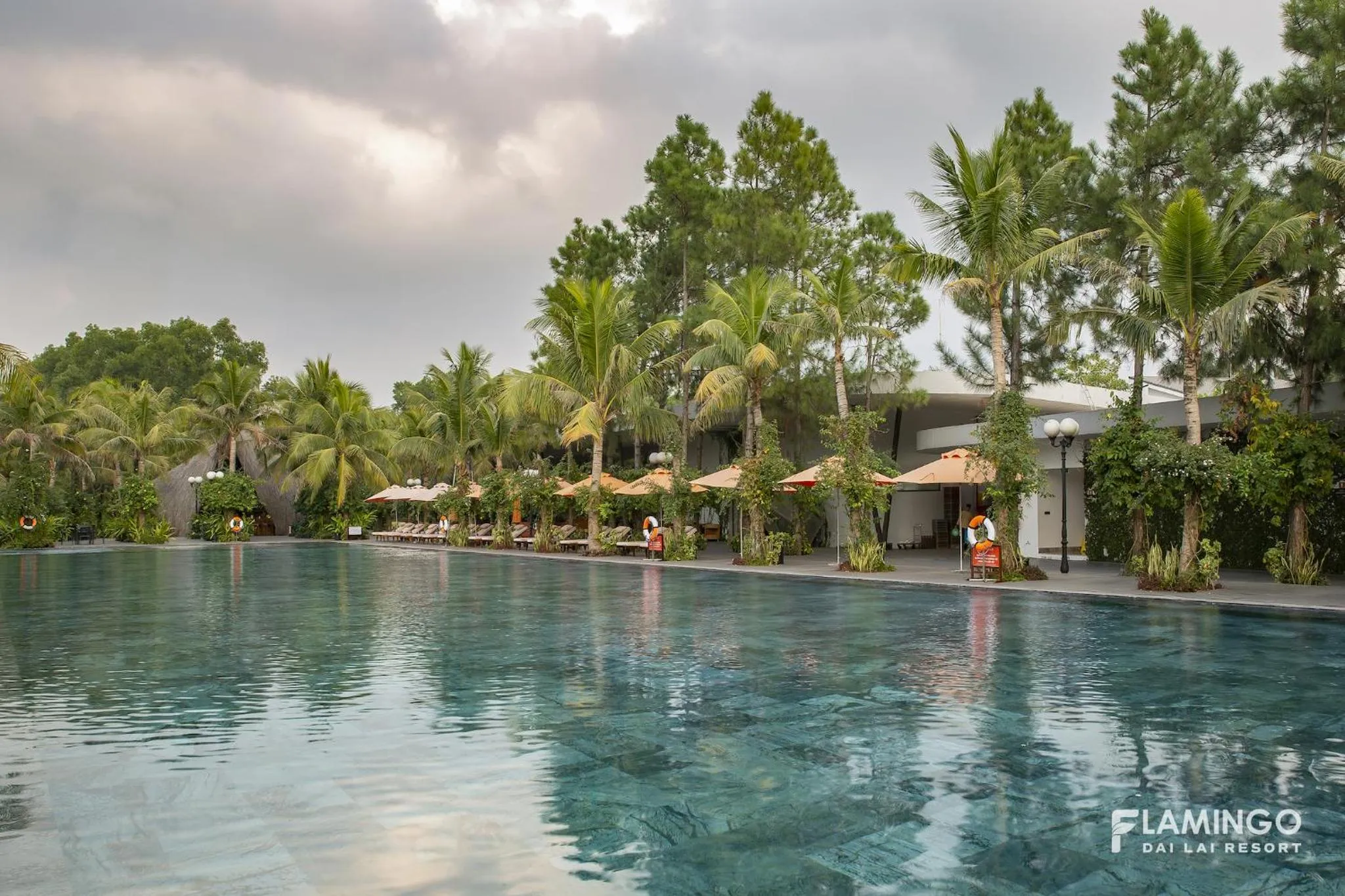 Swimming pool in Flamingo Resort Dai Lai