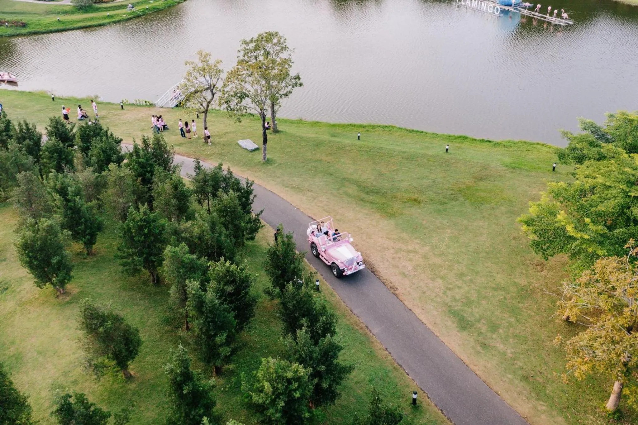 Entertainment in Flamingo Resort Dai Lai