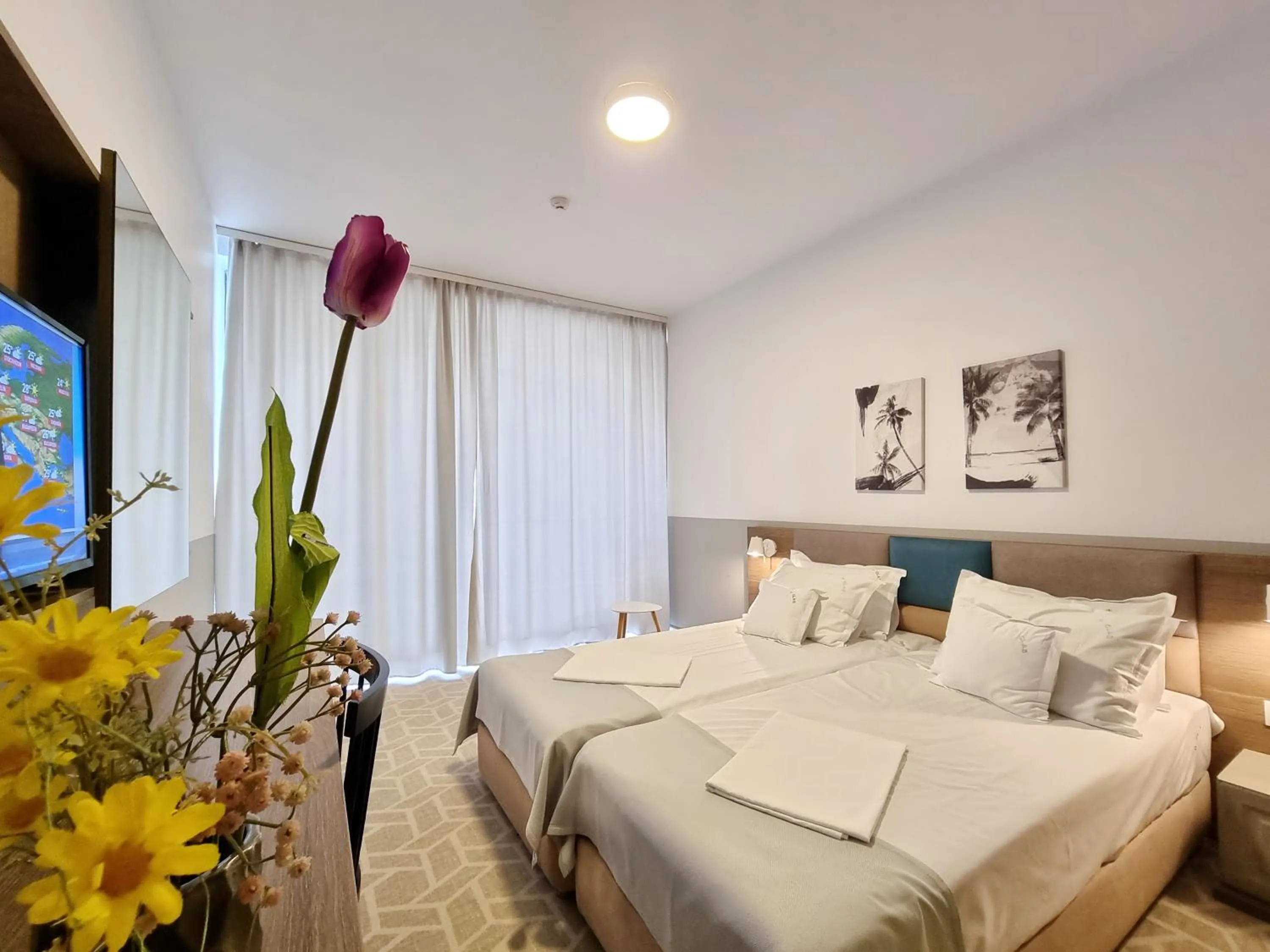 Bed in Hotel Clas Mamaia Nord