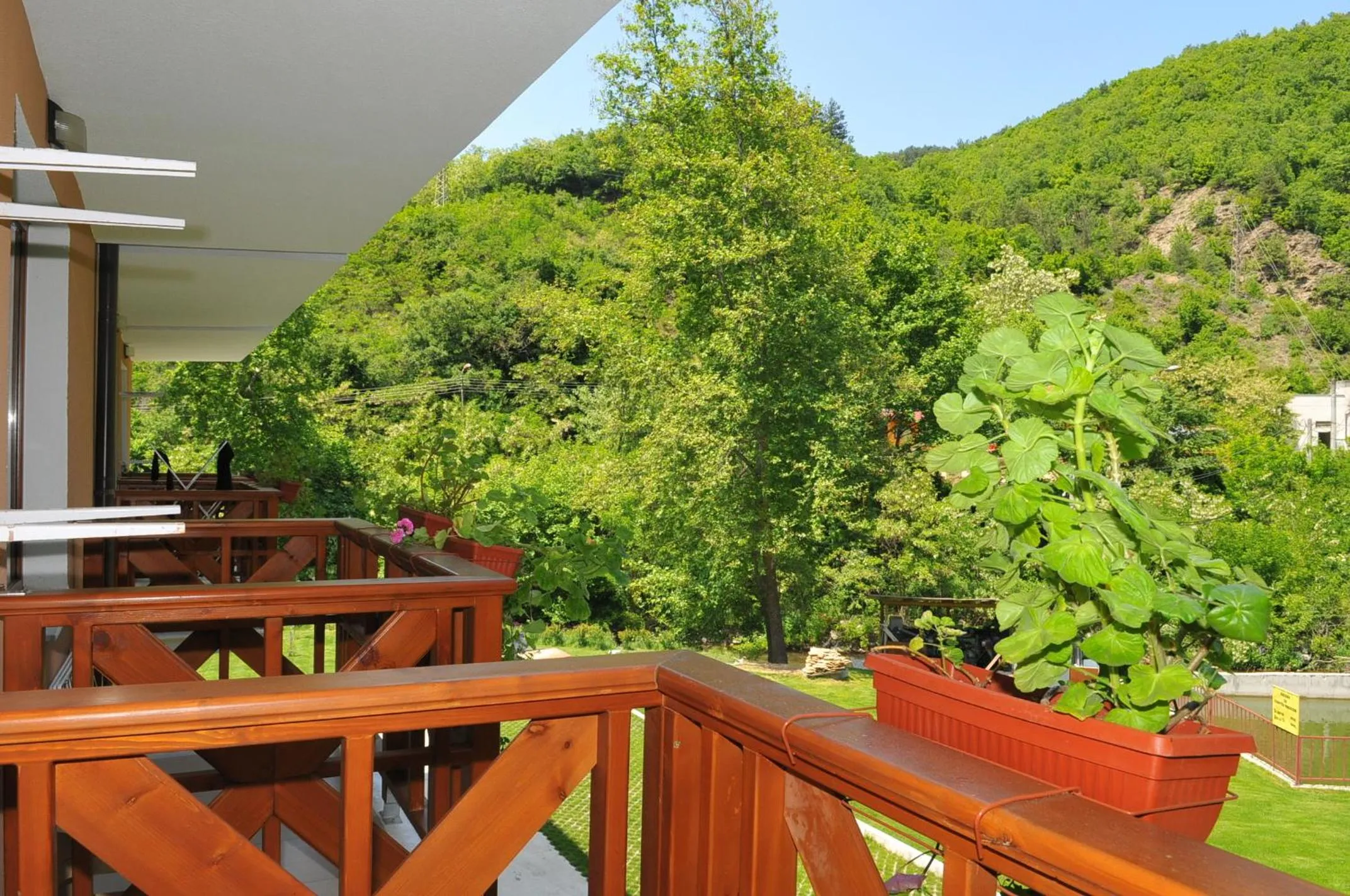 Day in Family Hotel Delta