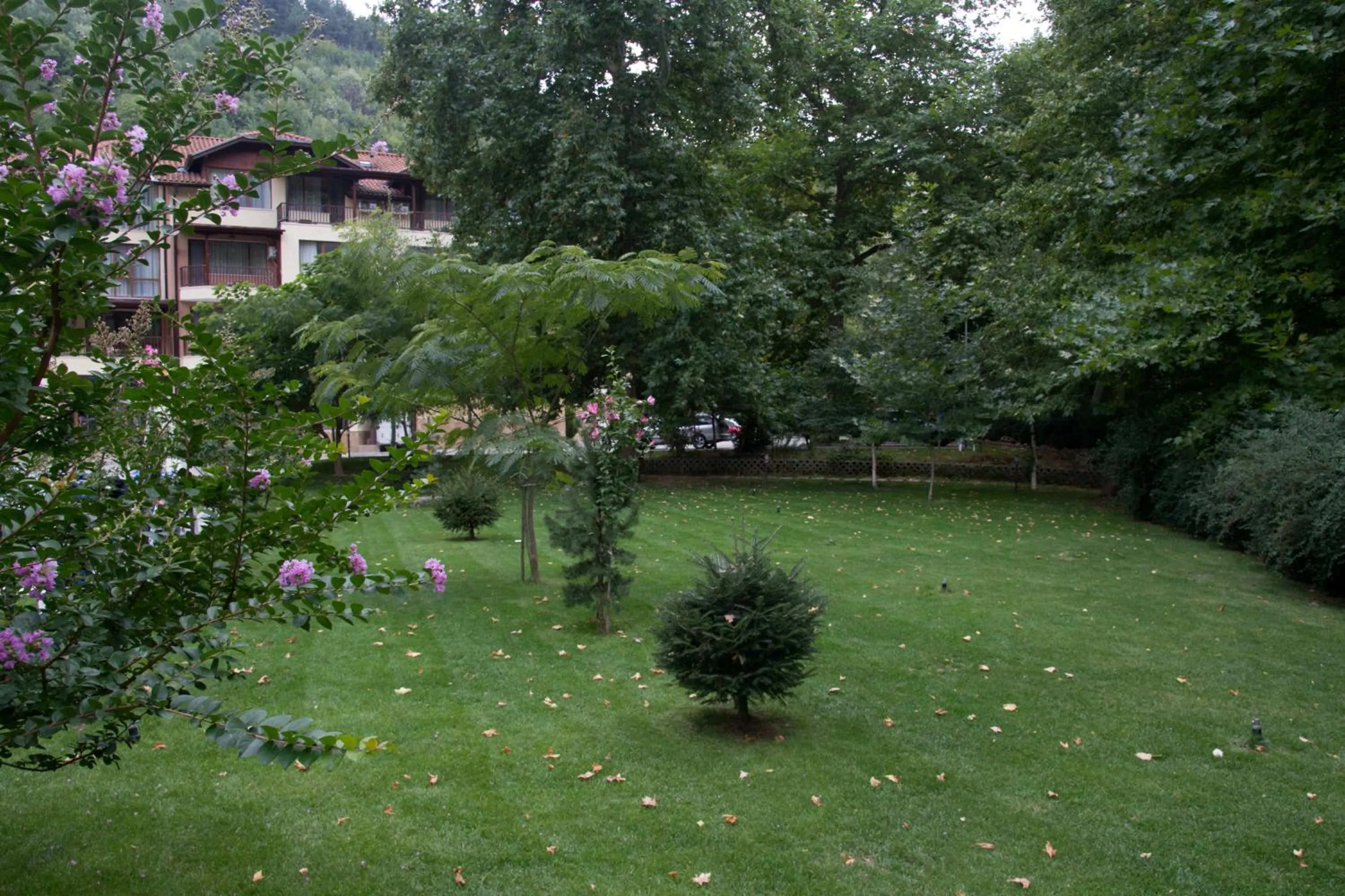 Property building in Family Hotel Delta