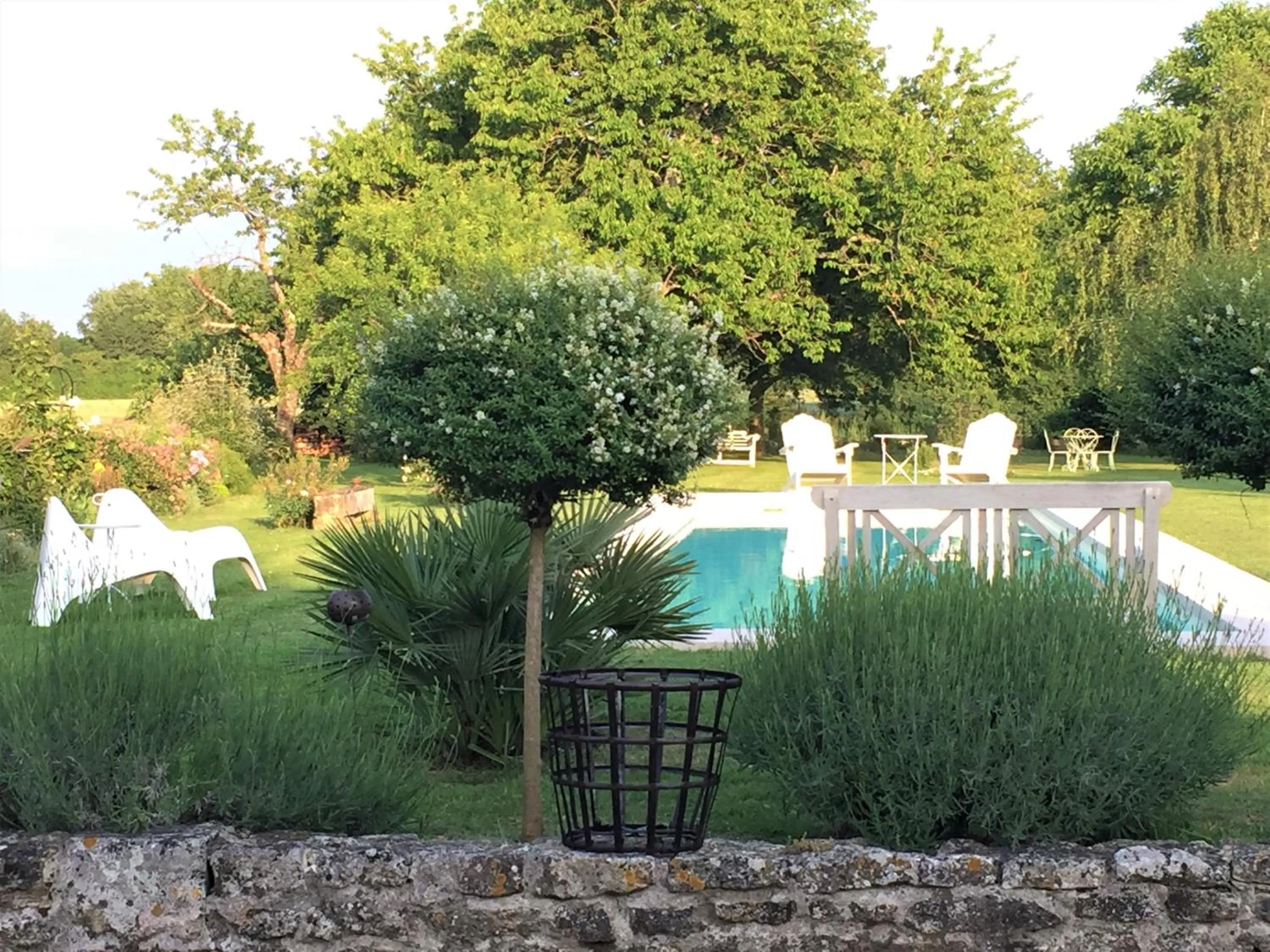 Swimming pool in Du Côté de l'Ombrière