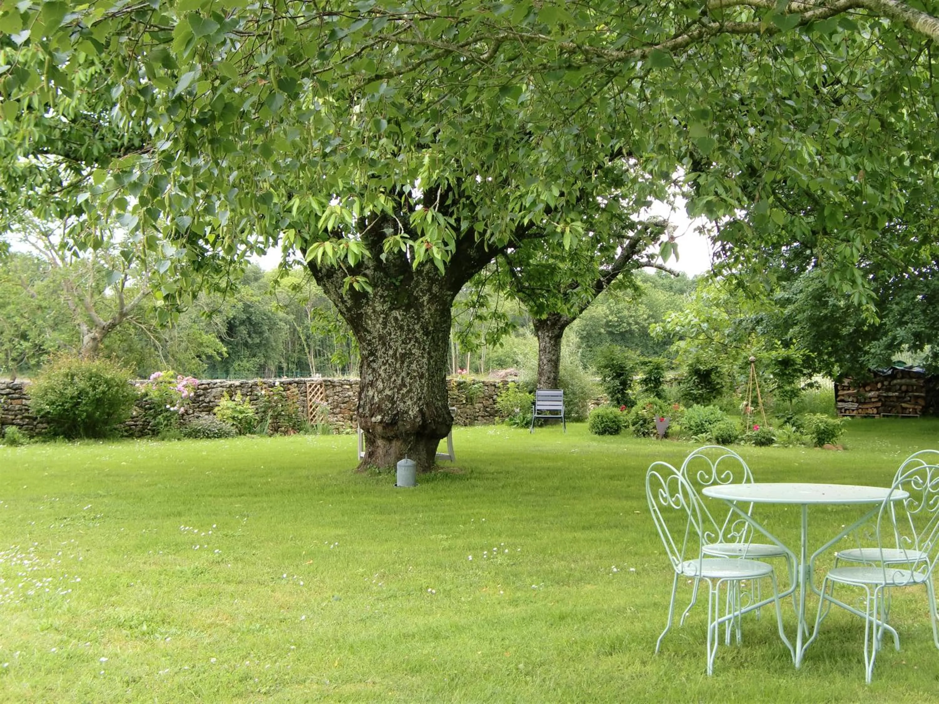 Garden in Du Côté de l'Ombrière
