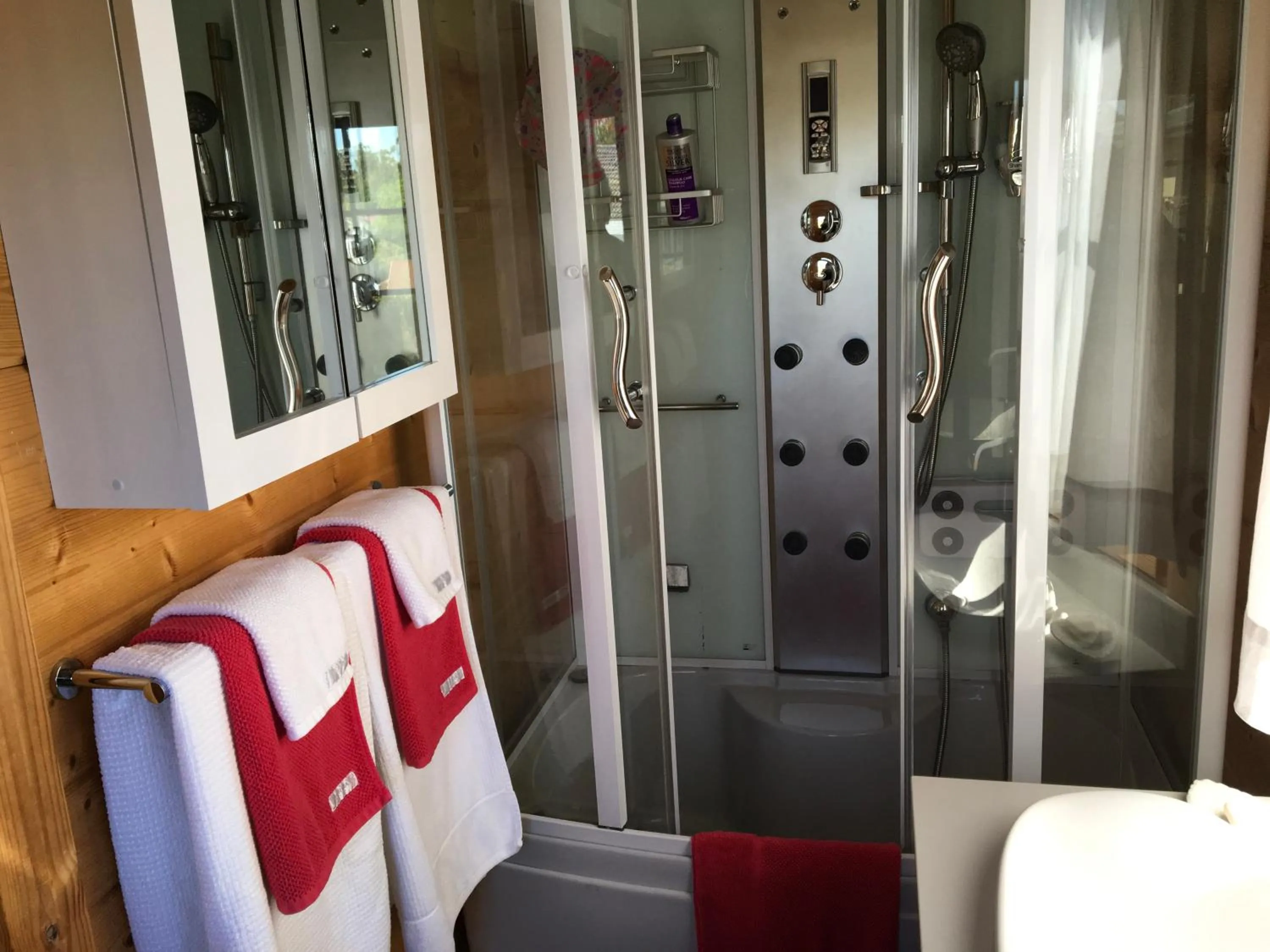 Bathroom in Bed and Breakfast