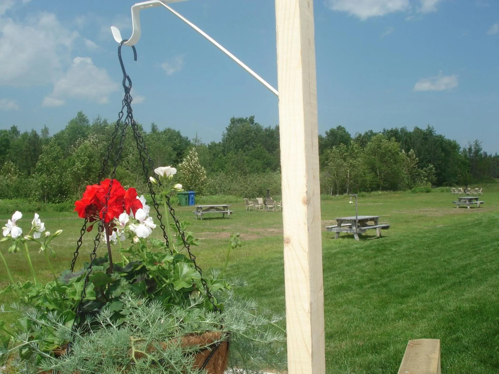 Garden in Motel la Maison de Travers