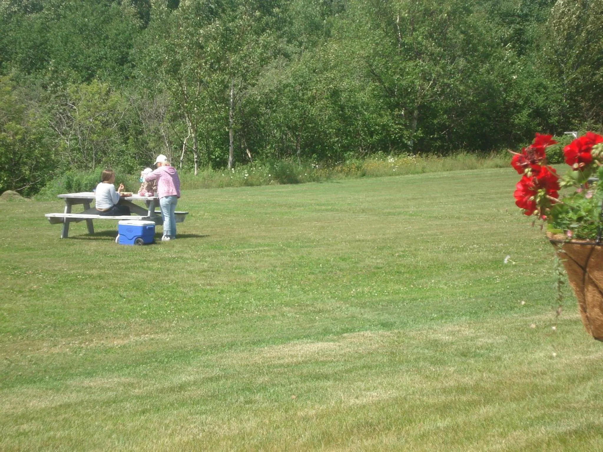 Garden in Motel la Maison de Travers