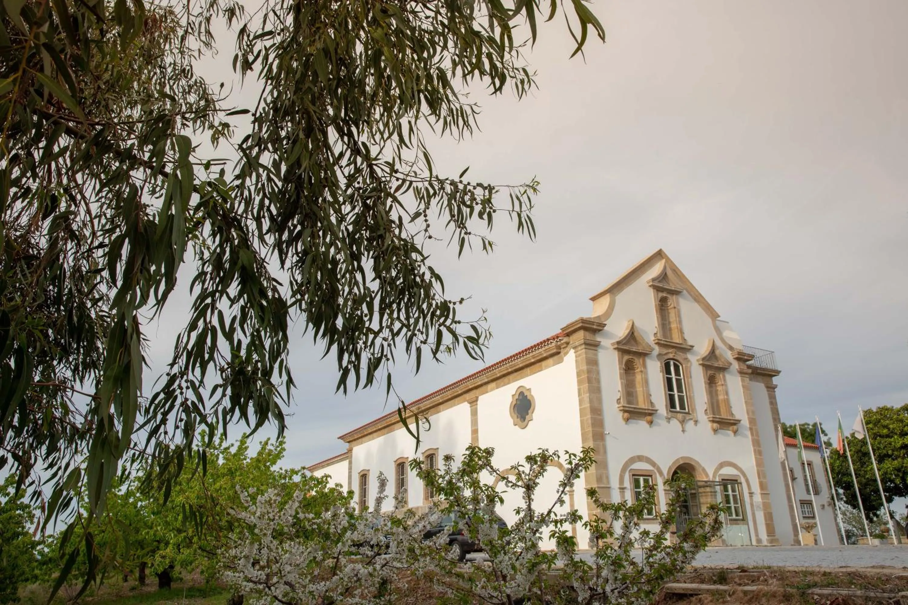 Property building in Convento do Seixo Boutique Hotel & Spa