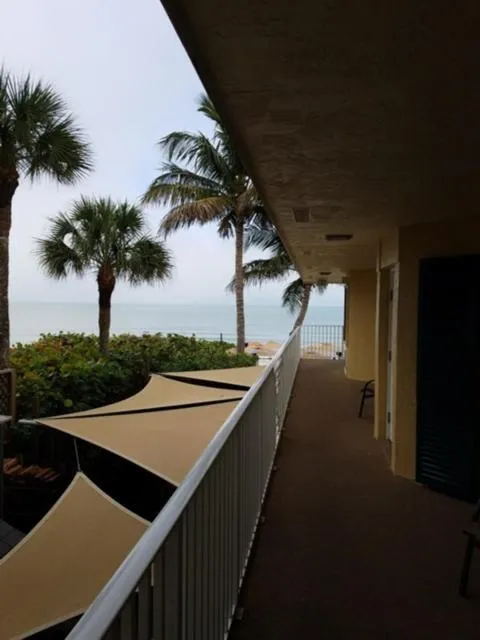Natural landscape in Vanderbilt Beach Resort