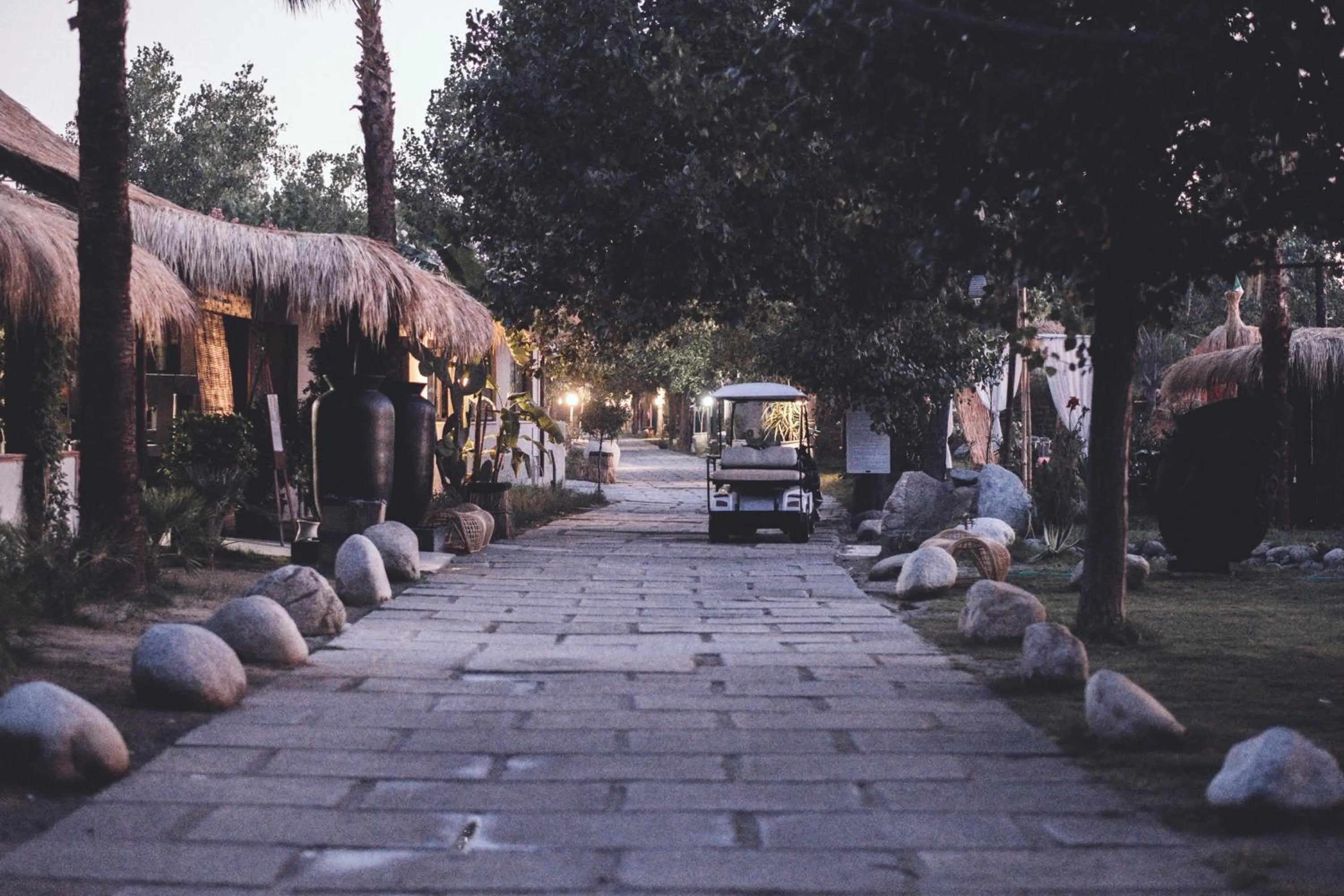 Dining area in Riva del Sol Beach Resort