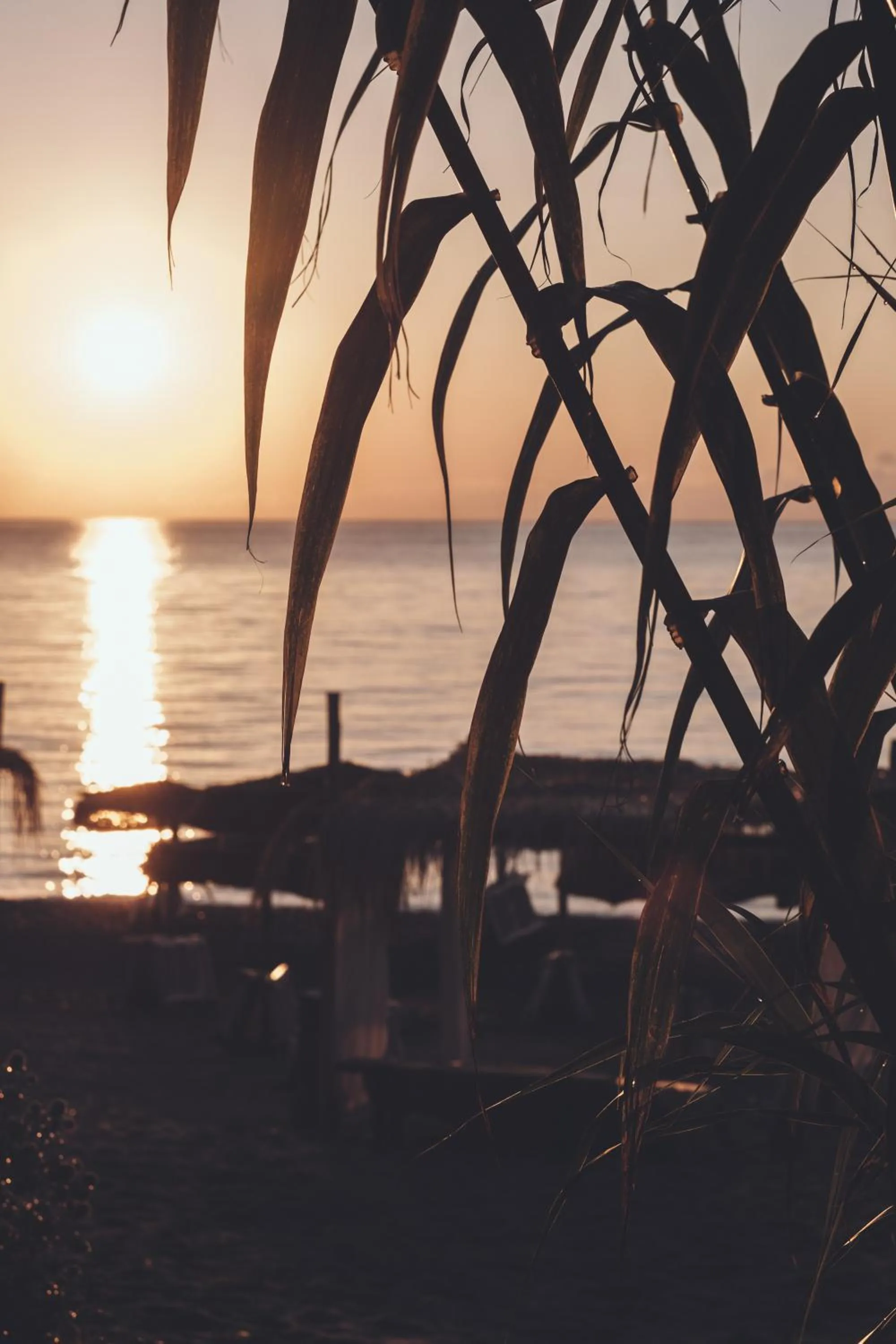 Riva del Sol Beach Resort