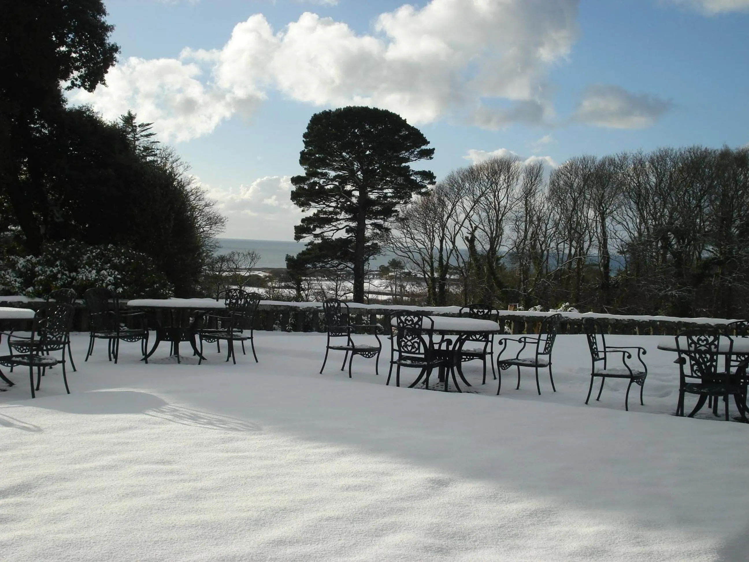 Natural landscape in Bron Eifion Hotel