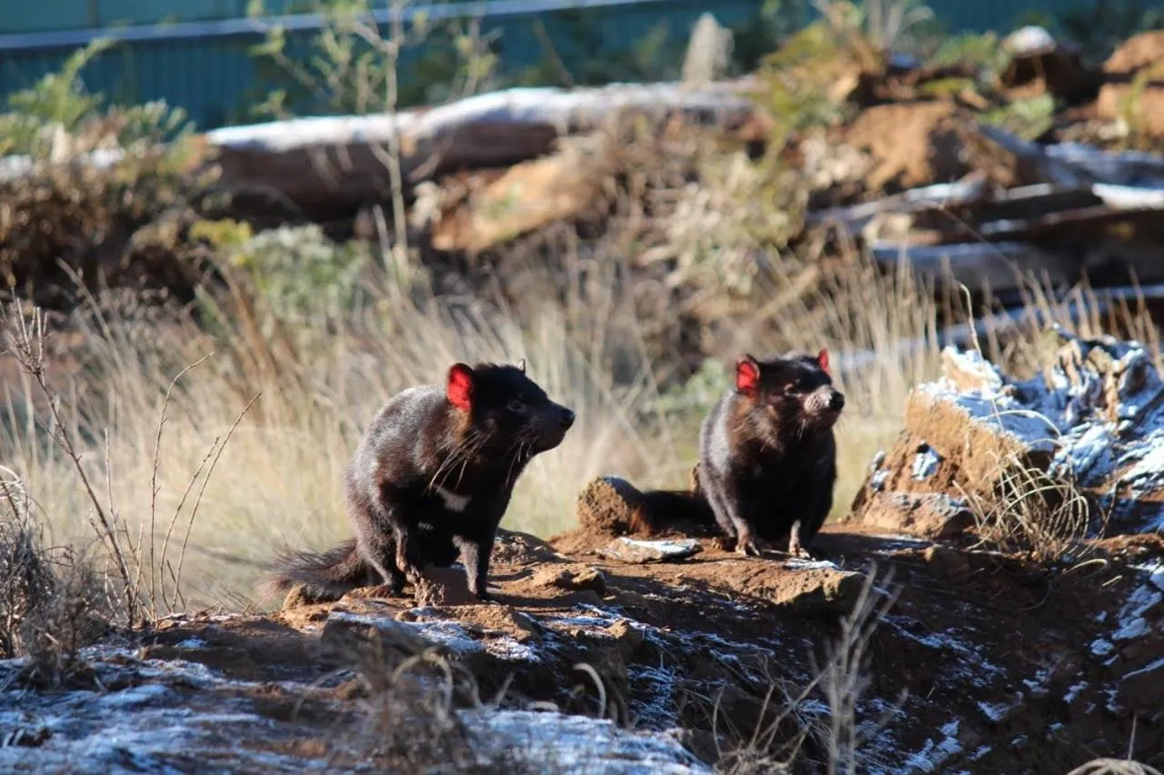 Nearby landmark in Bucketts Way Motel Gloucester