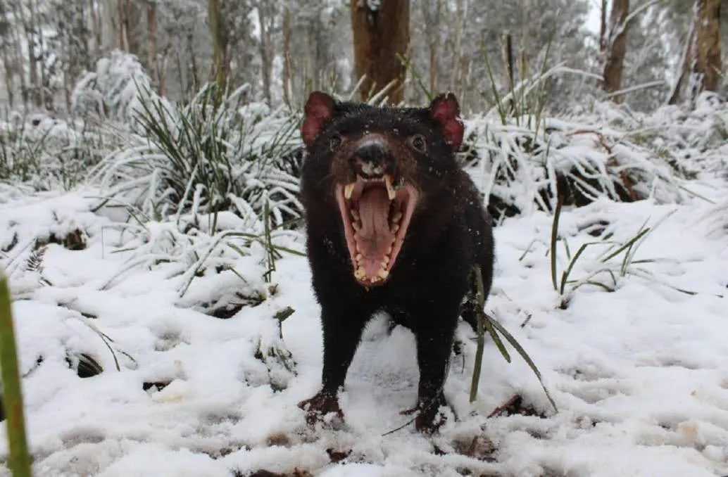 Nearby landmark in Bucketts Way Motel Gloucester