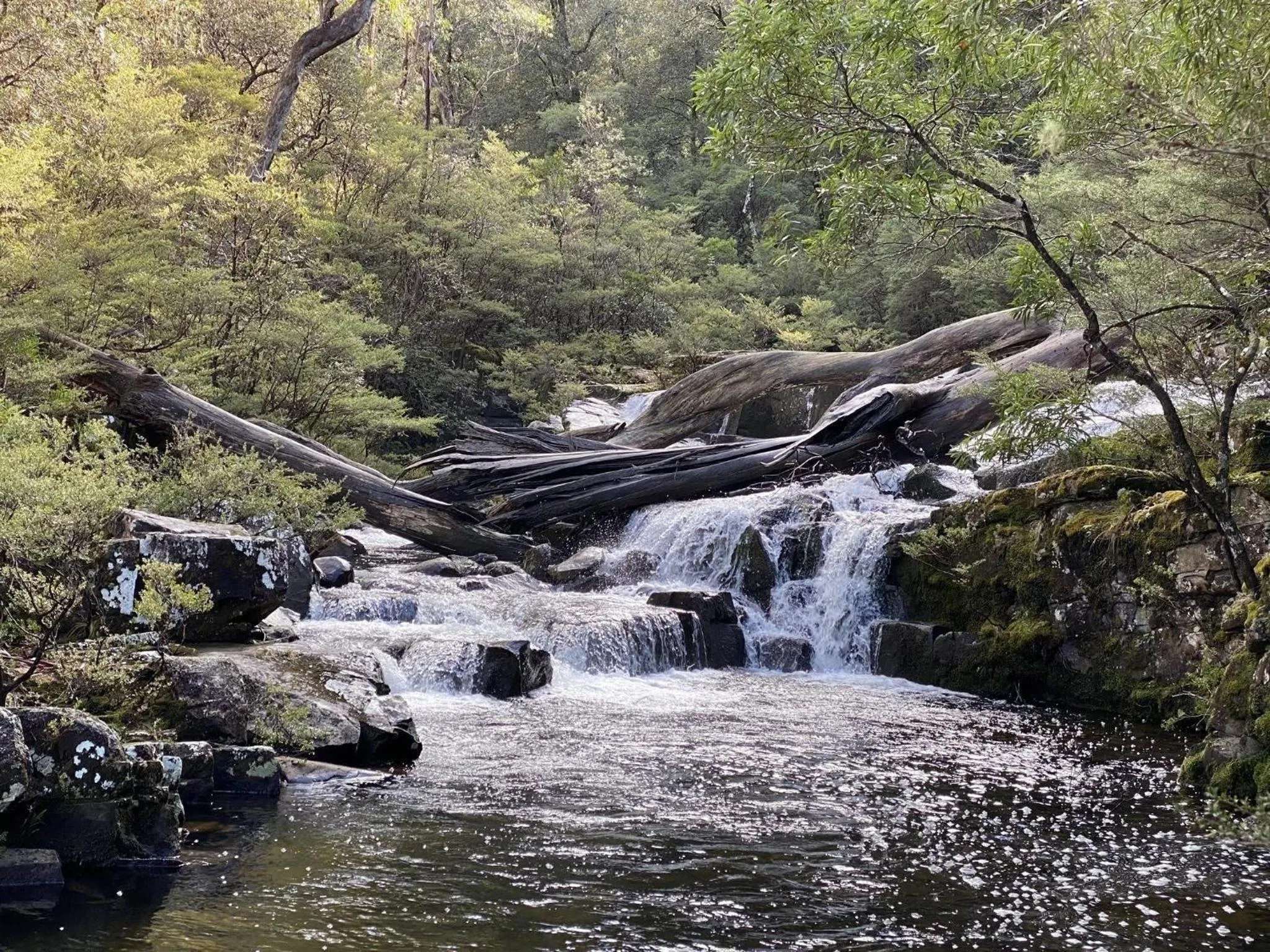 Natural landscape in Bucketts Way Motel Gloucester
