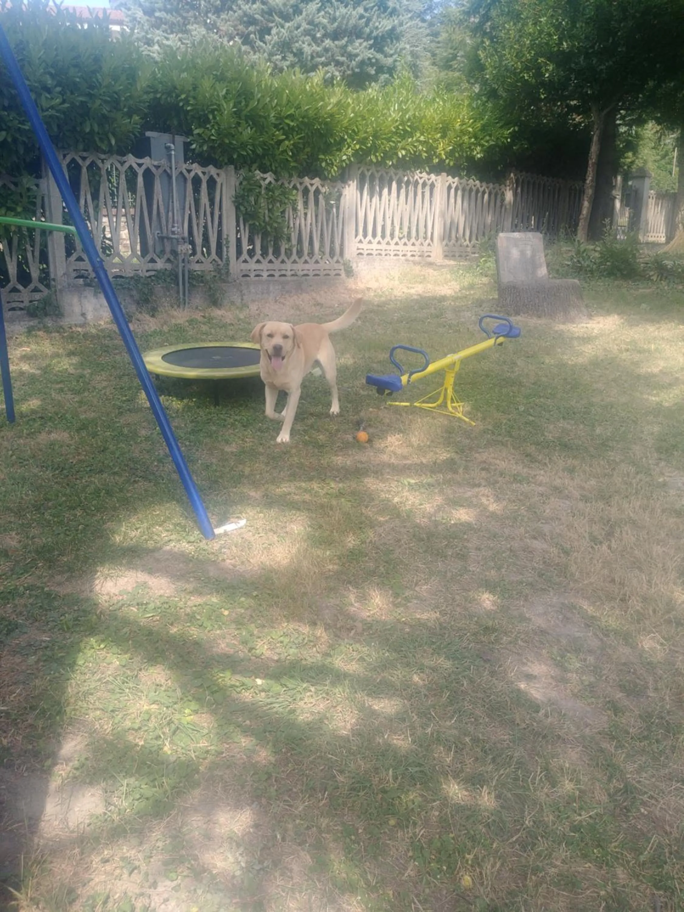 Children play ground in Casa T Bed and Breakfast & Home Restaurant di Tacchino Simone