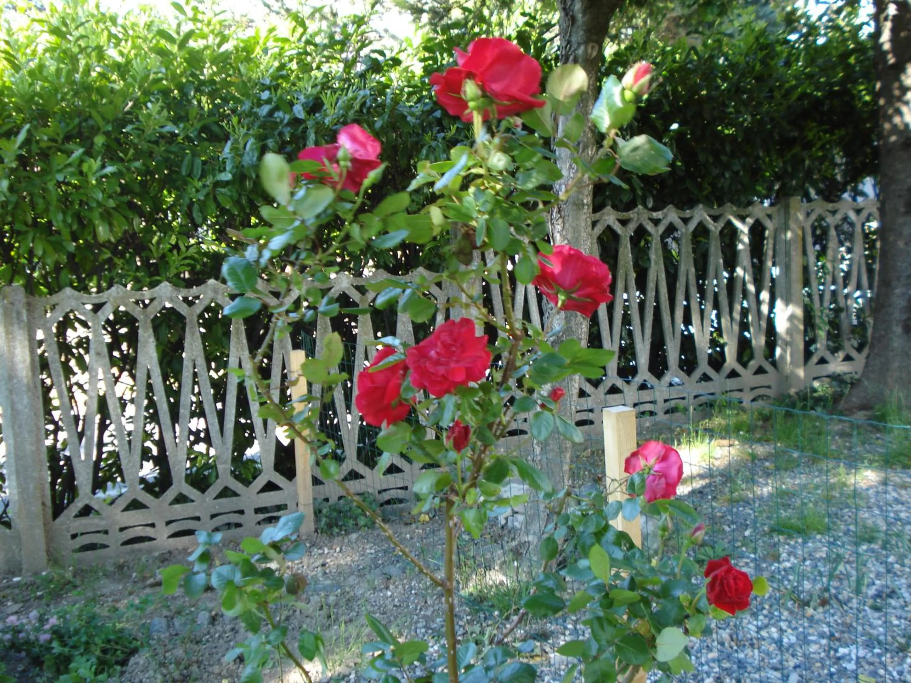 Garden in Casa T Bed and Breakfast & Home Restaurant di Tacchino Simone