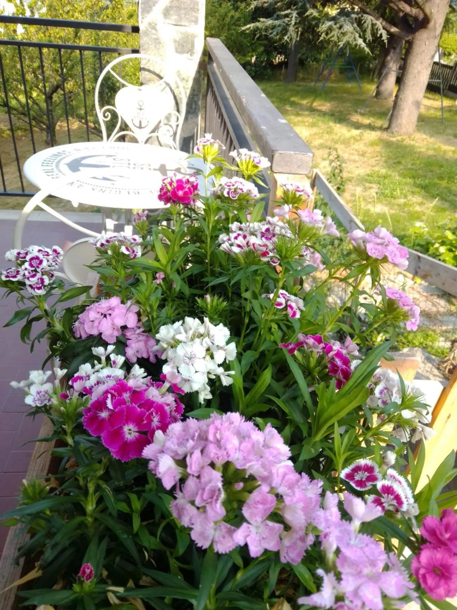 Restaurant/places to eat in Casa T Bed and Breakfast & Home Restaurant di Tacchino Simone