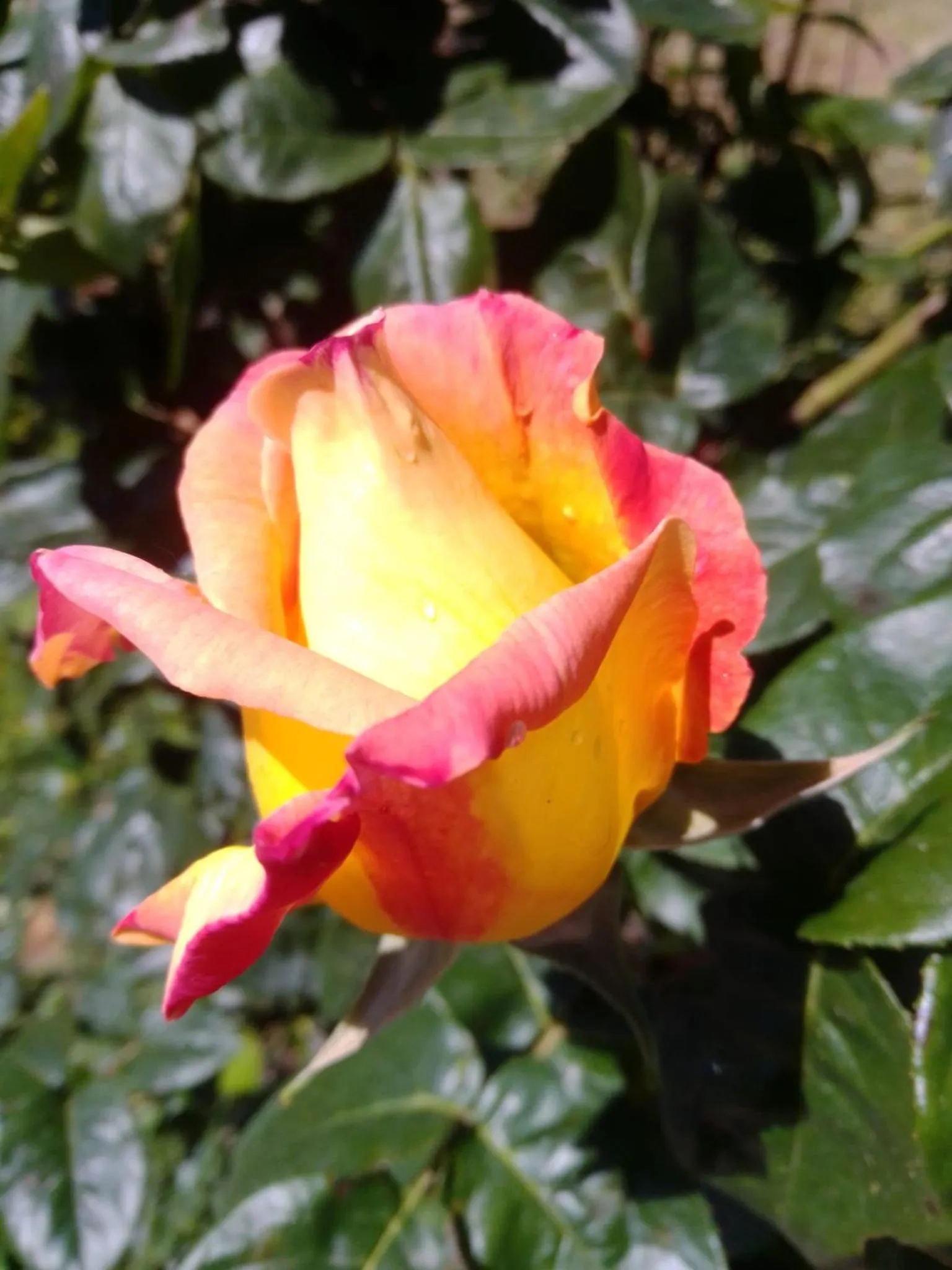 Property logo or sign in Casa T Bed and Breakfast & Home Restaurant di Tacchino Simone