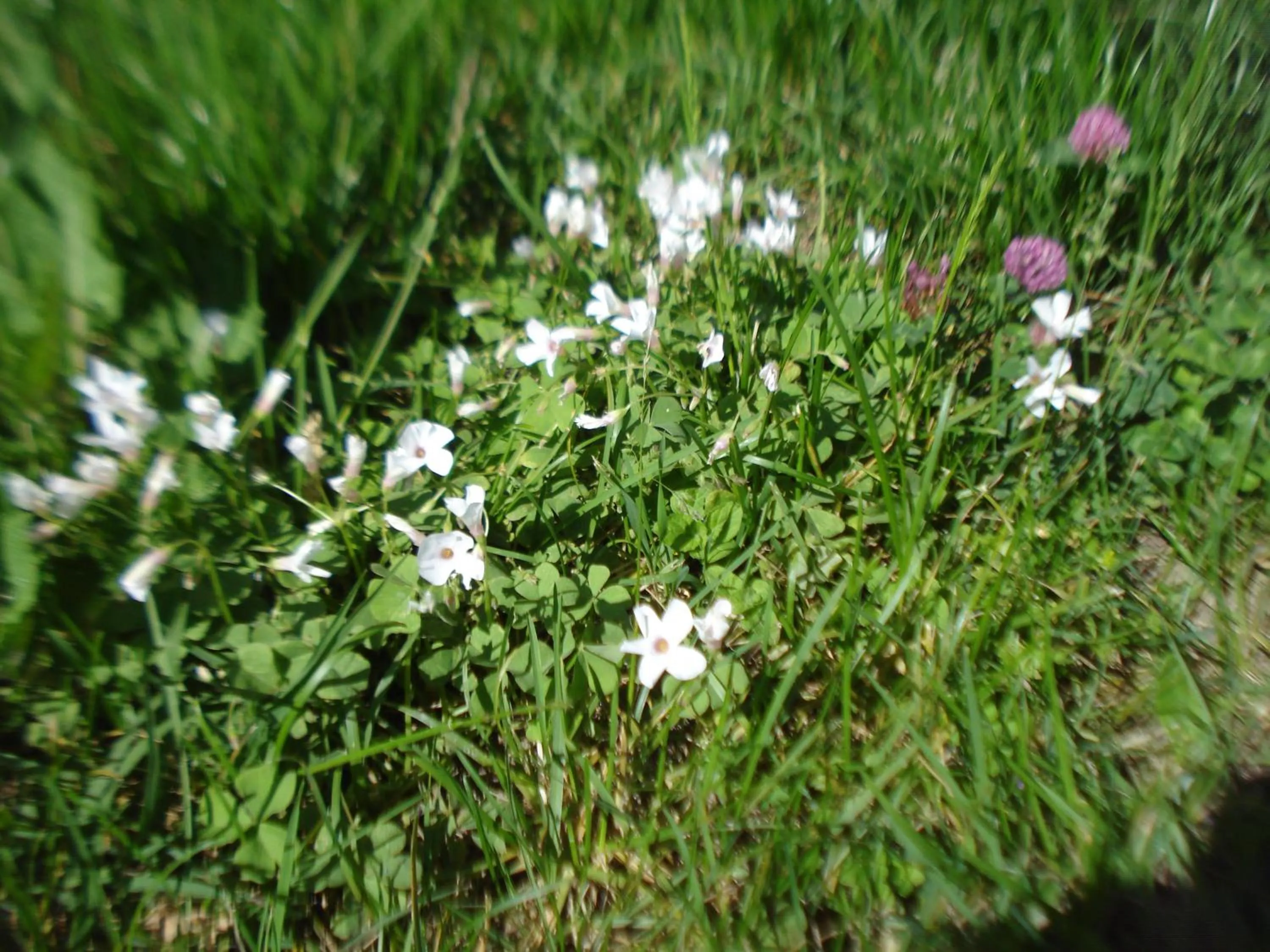Natural landscape in Casa T Bed and Breakfast & Home Restaurant di Tacchino Simone