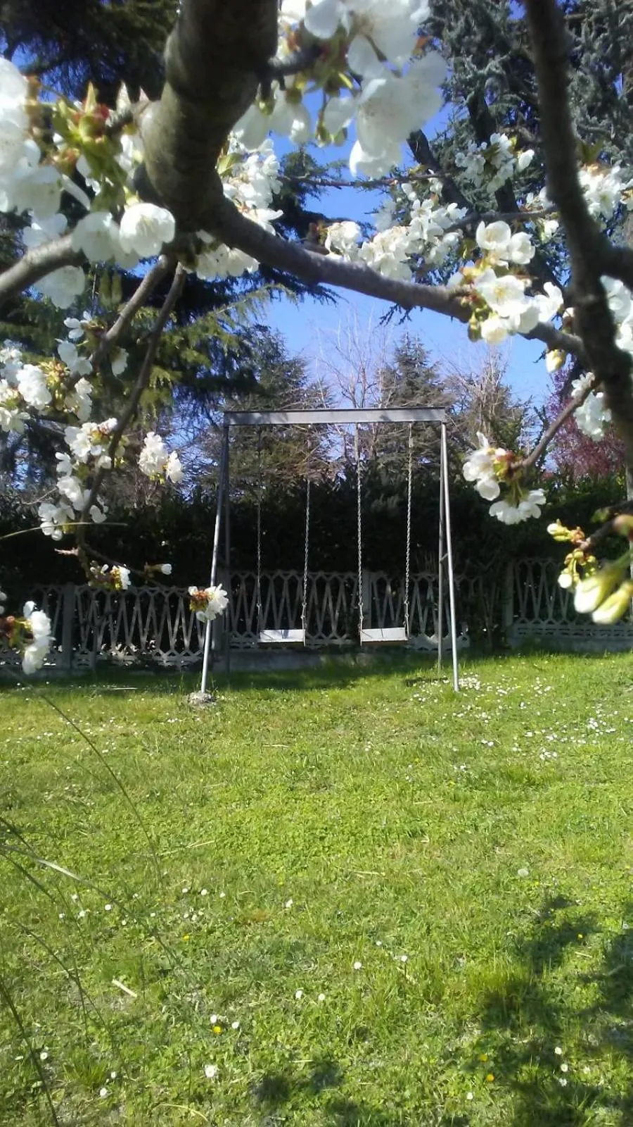 Activities in Casa T Bed and Breakfast & Home Restaurant di Tacchino Simone