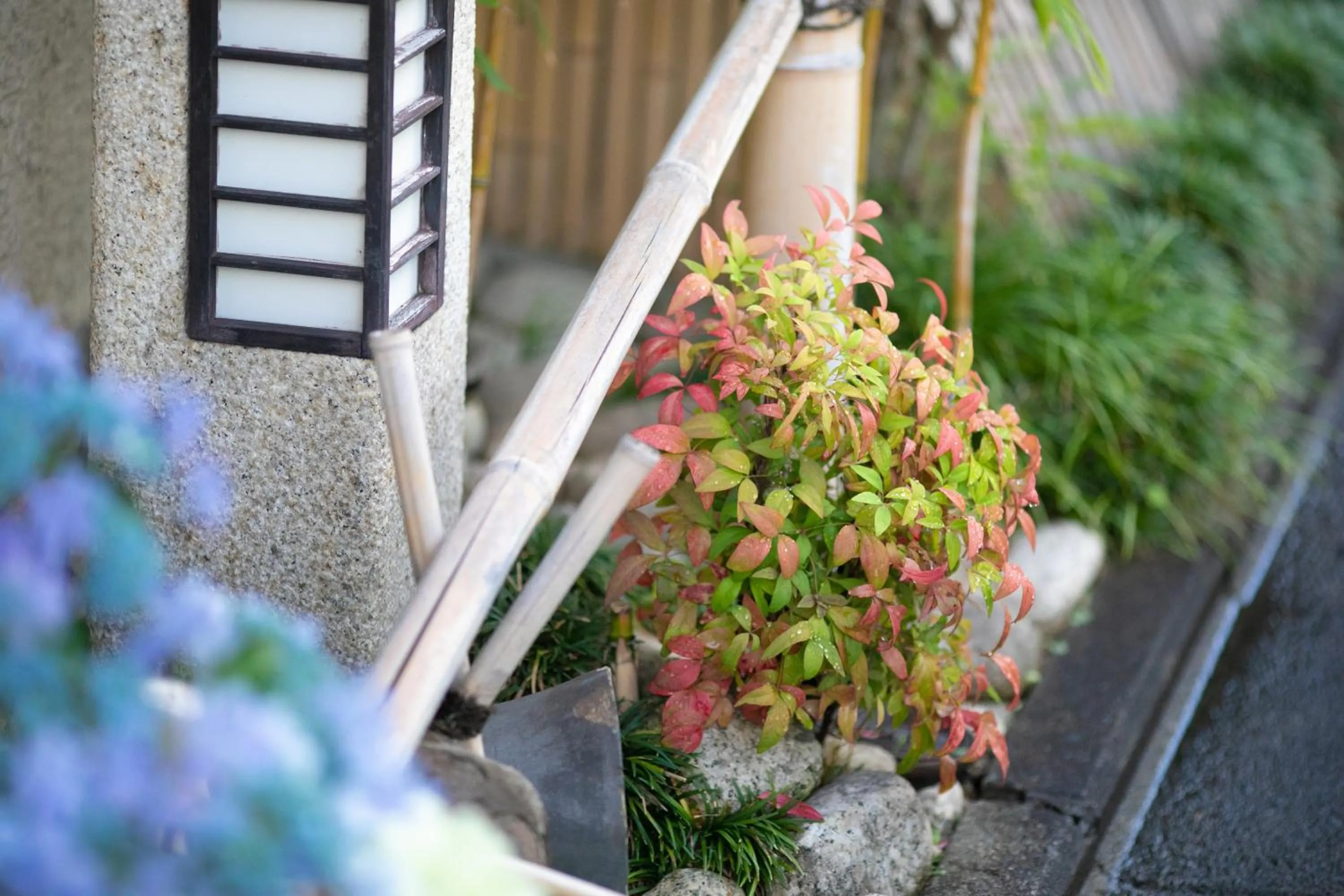 Property building in Ohanabo