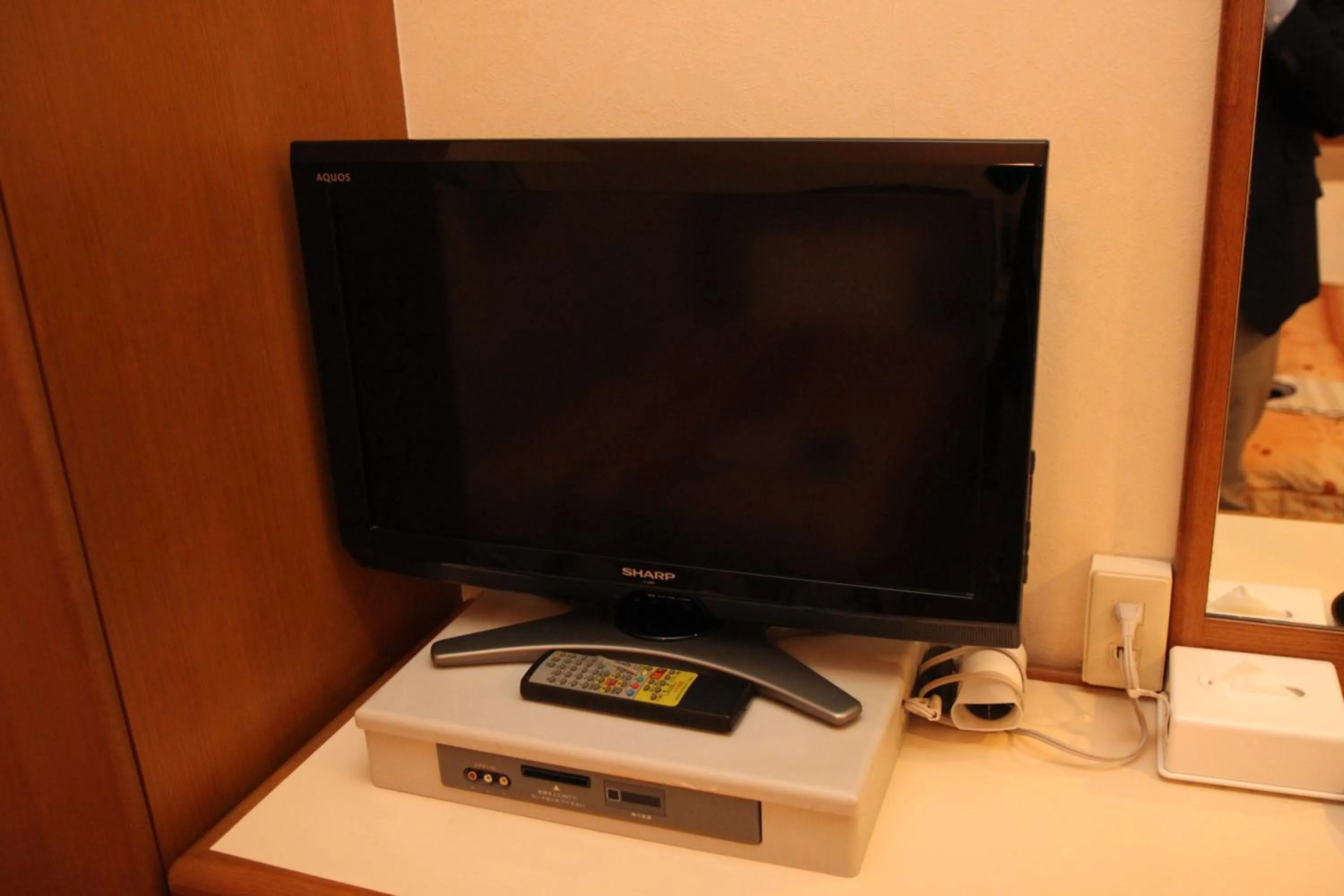TV and multimedia in Business Hotel Nissei
