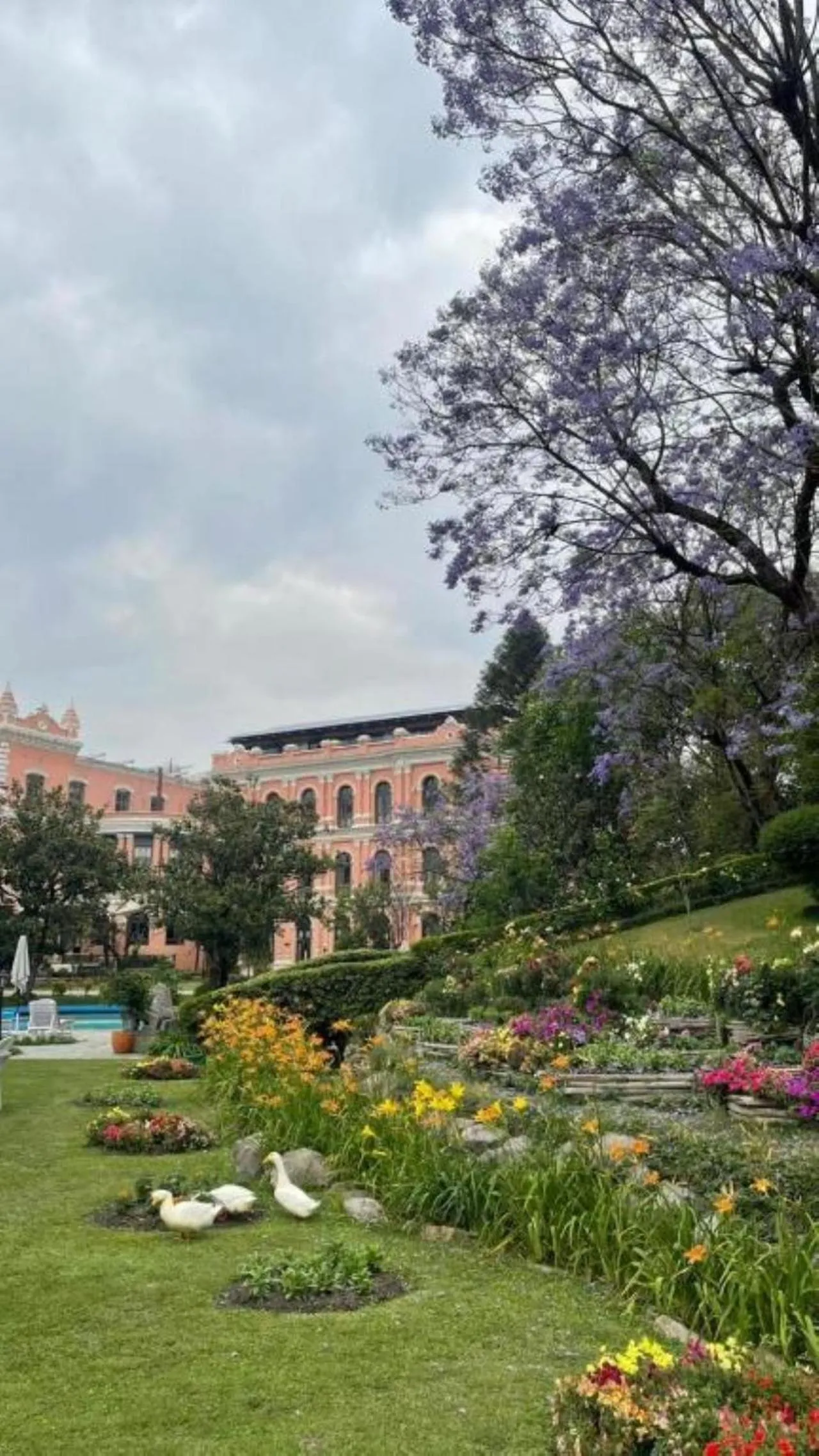 Garden in Hotel Yak & Yeti