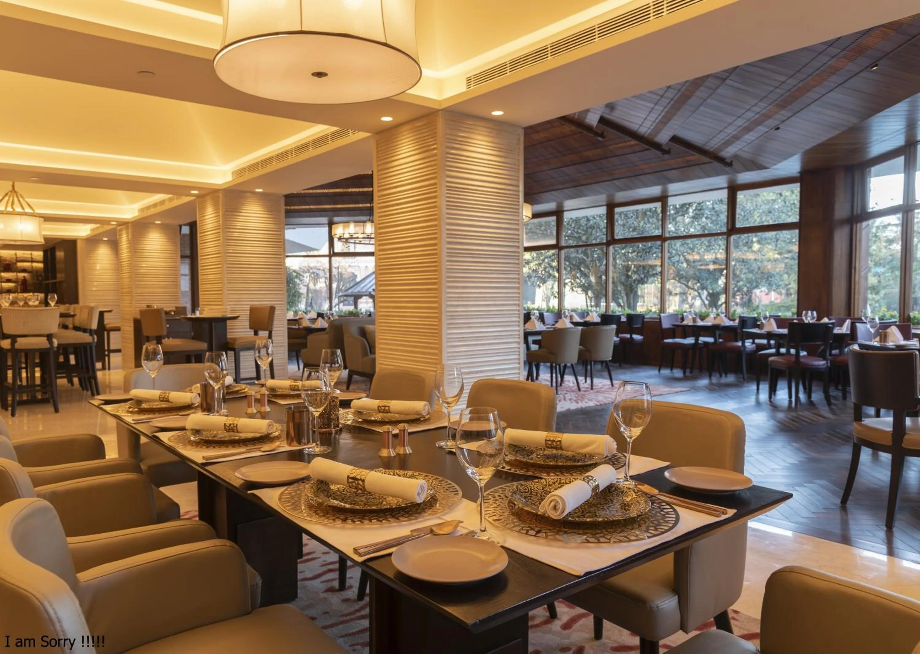 Restaurant/places to eat in Hotel Yak & Yeti