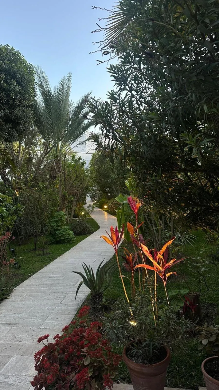 Garden in Hotel Karia Princess