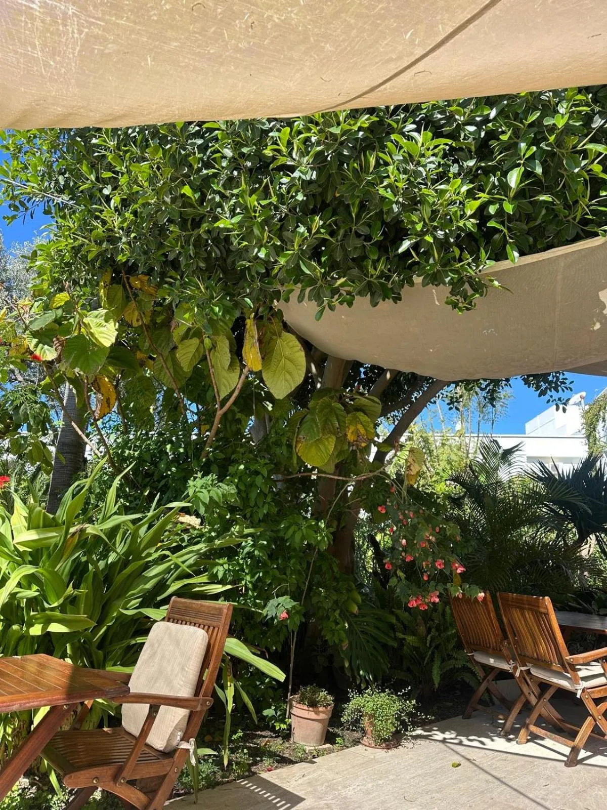 Hotel Karia Princess