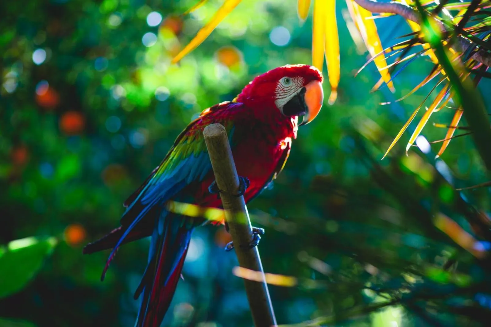 Natural landscape in Hotel Karia Princess