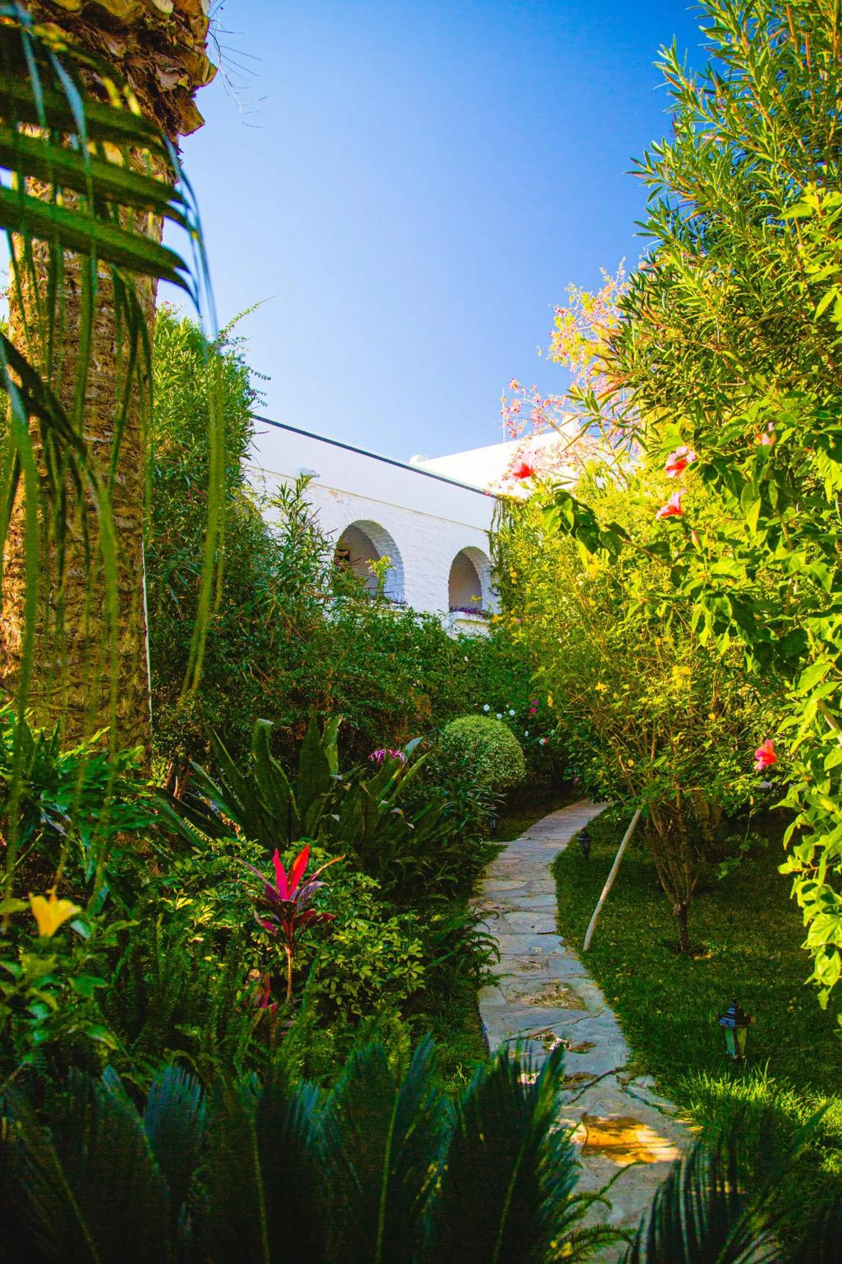 Natural landscape in Hotel Karia Princess