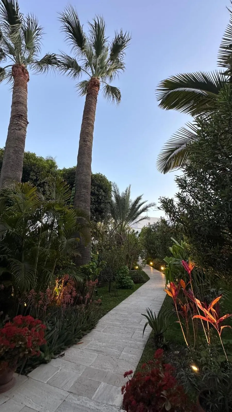 Garden in Hotel Karia Princess